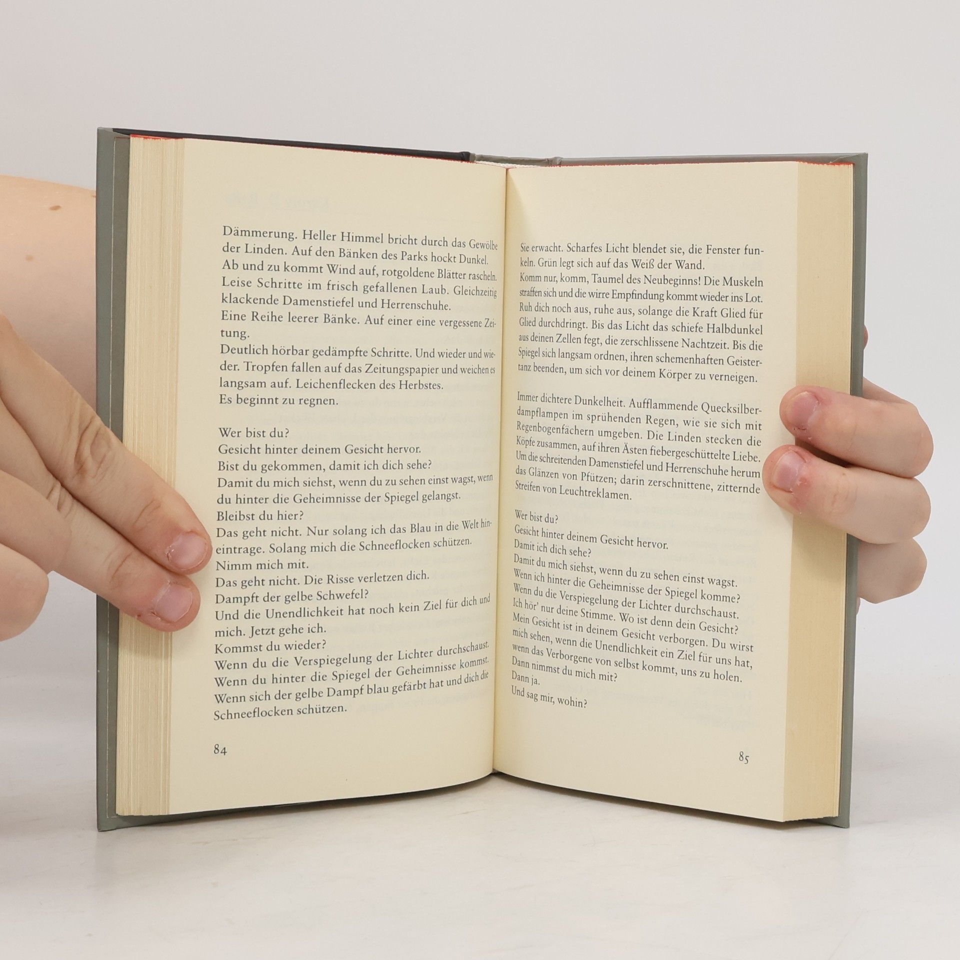 Irene Rübberdt Das Buch der Ränder, Die unsichtbaren Ungarn