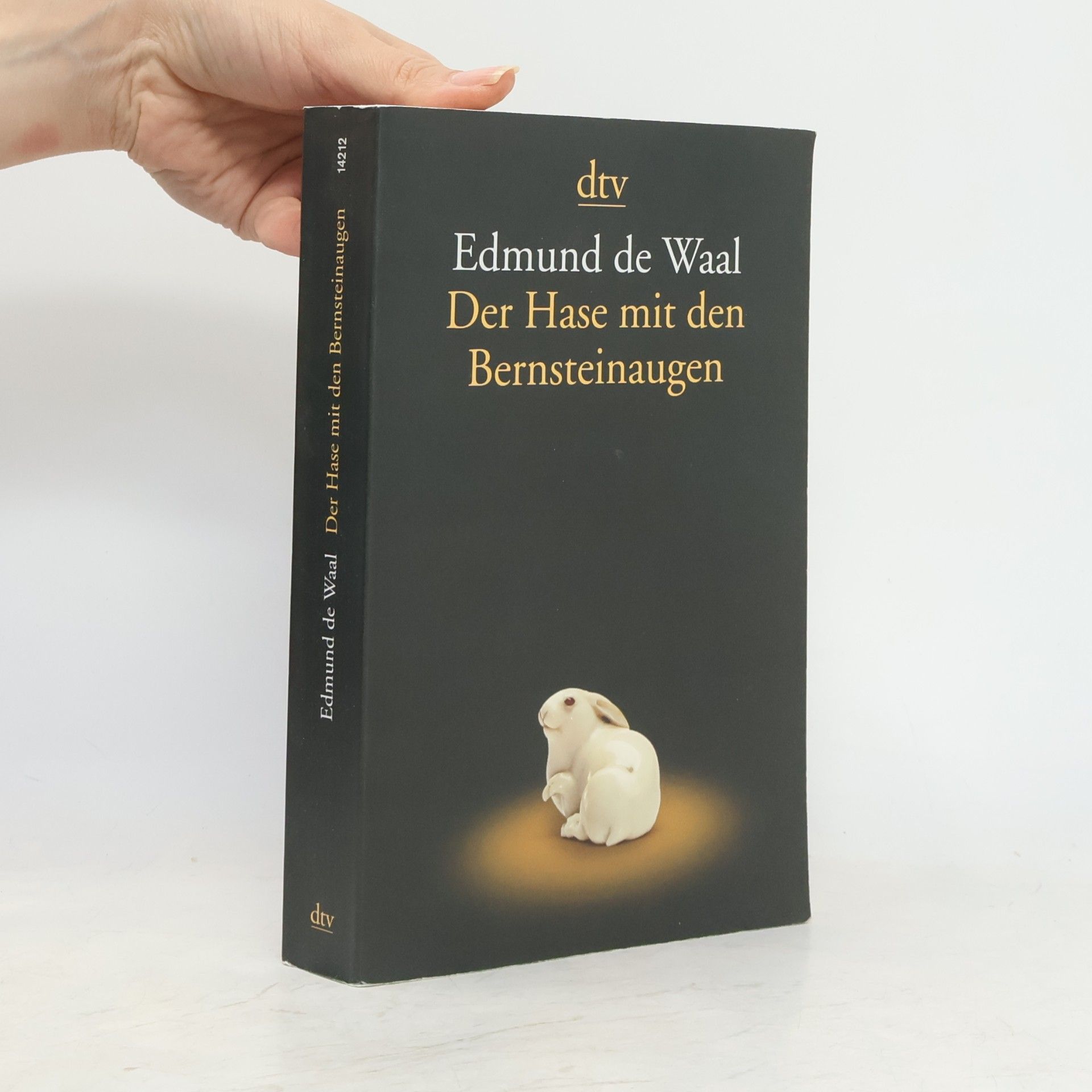Edmund de Waal Der Hase mit den Bernsteinaugen