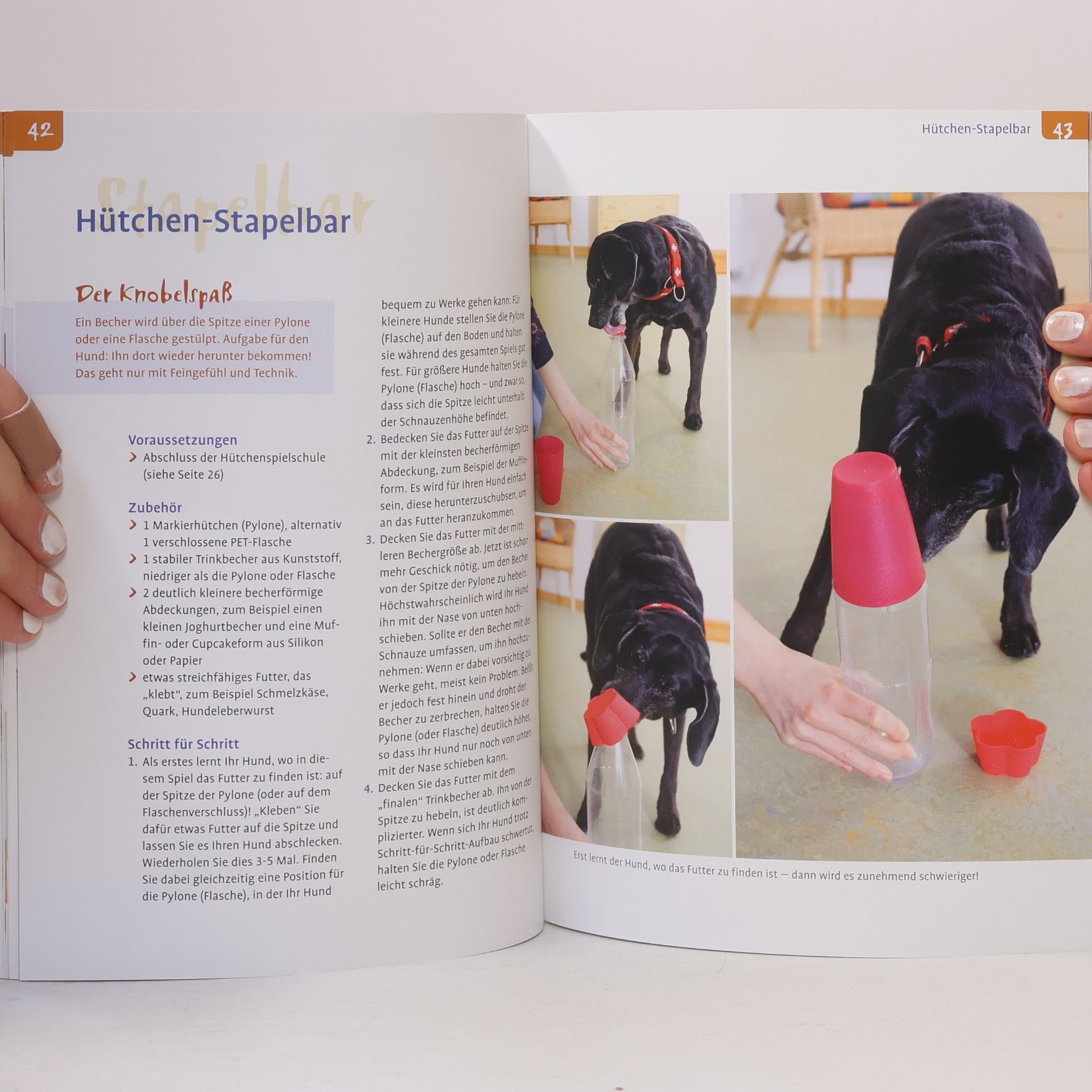 Christina Sondermann Denksport für Hunde. Knobelspiele schnell und einfach selbstgemacht