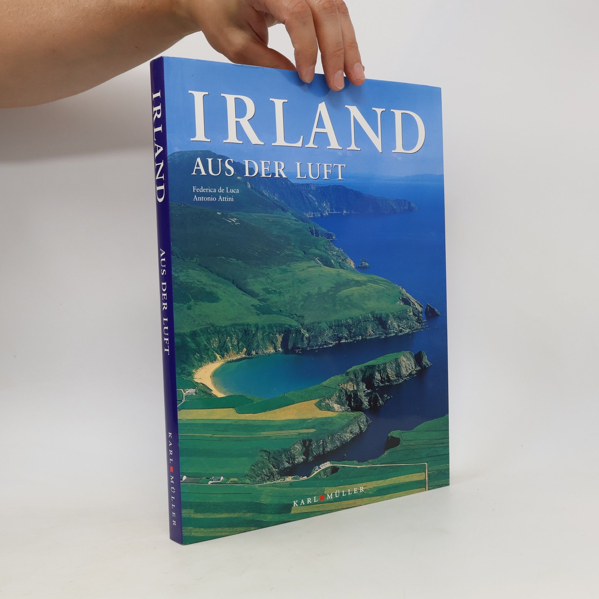 Antonio Attini Irland aus der Luft