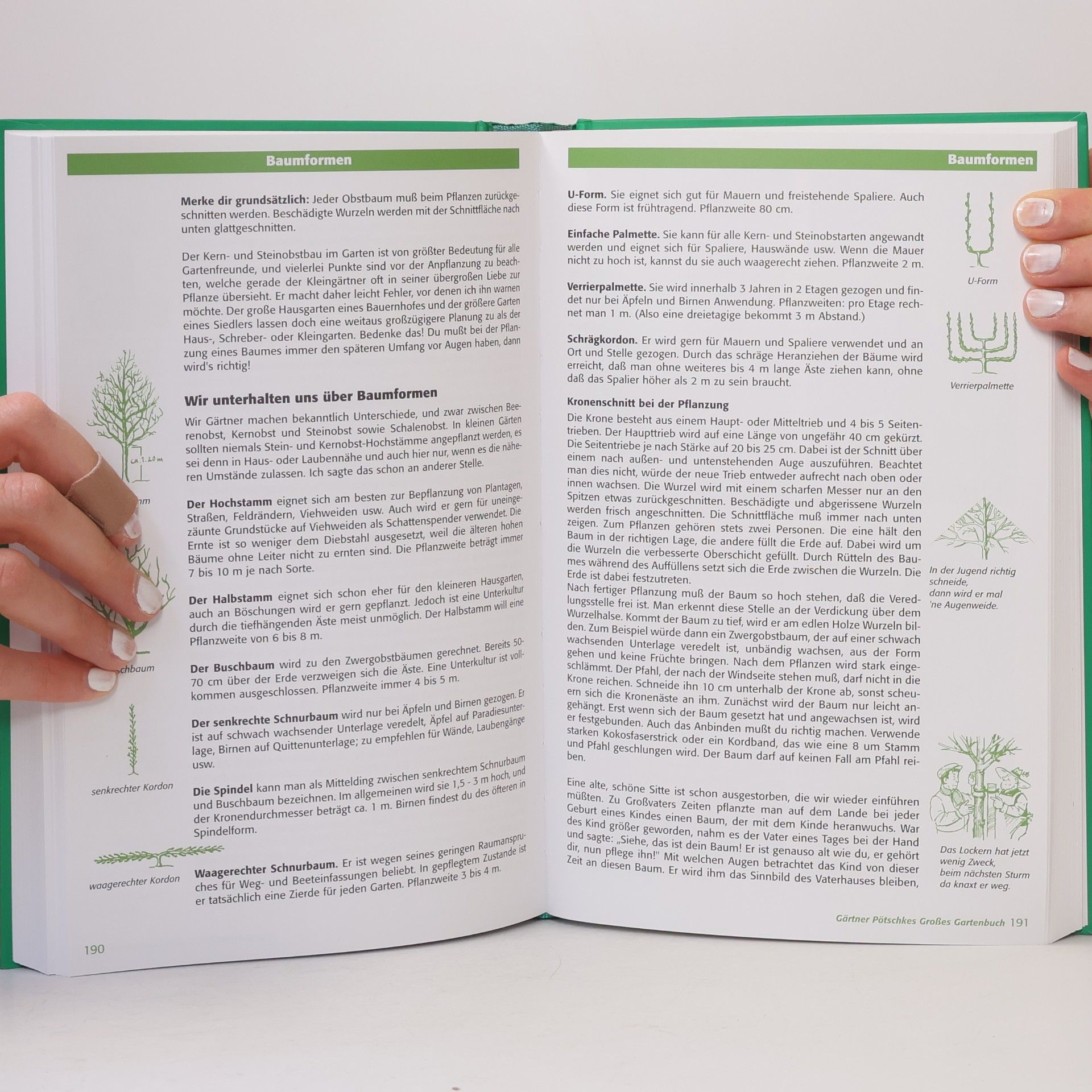Harry Pötschkes Gärtner Pötschkes großes Gartenbuch
