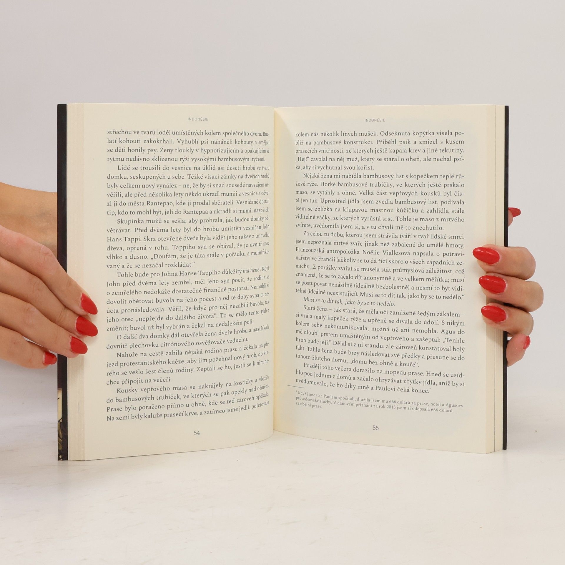 Caitlin Doughty Hledání dobré smrti : putování světem za posmrtnými rituály