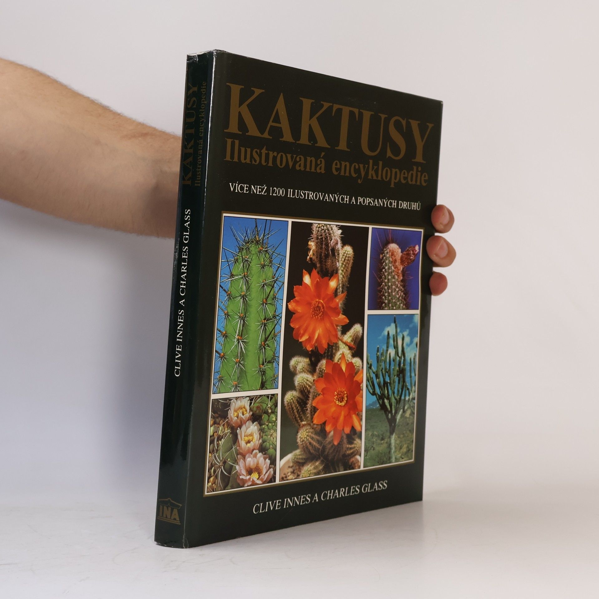 Clive Innes Kaktusy
