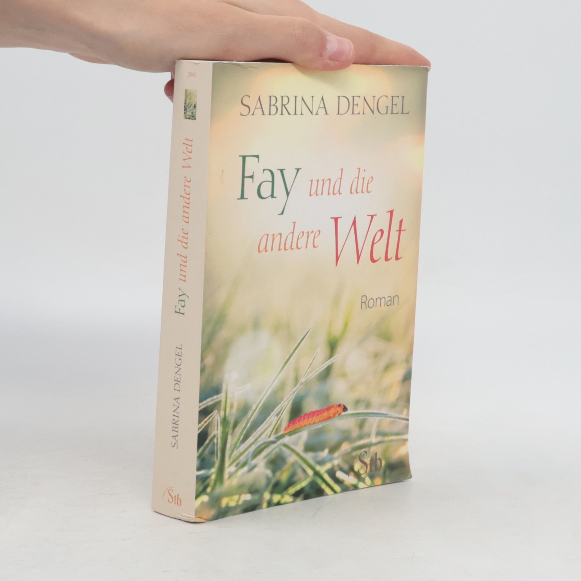 Sabrina Dengel Fay und die andere Welt