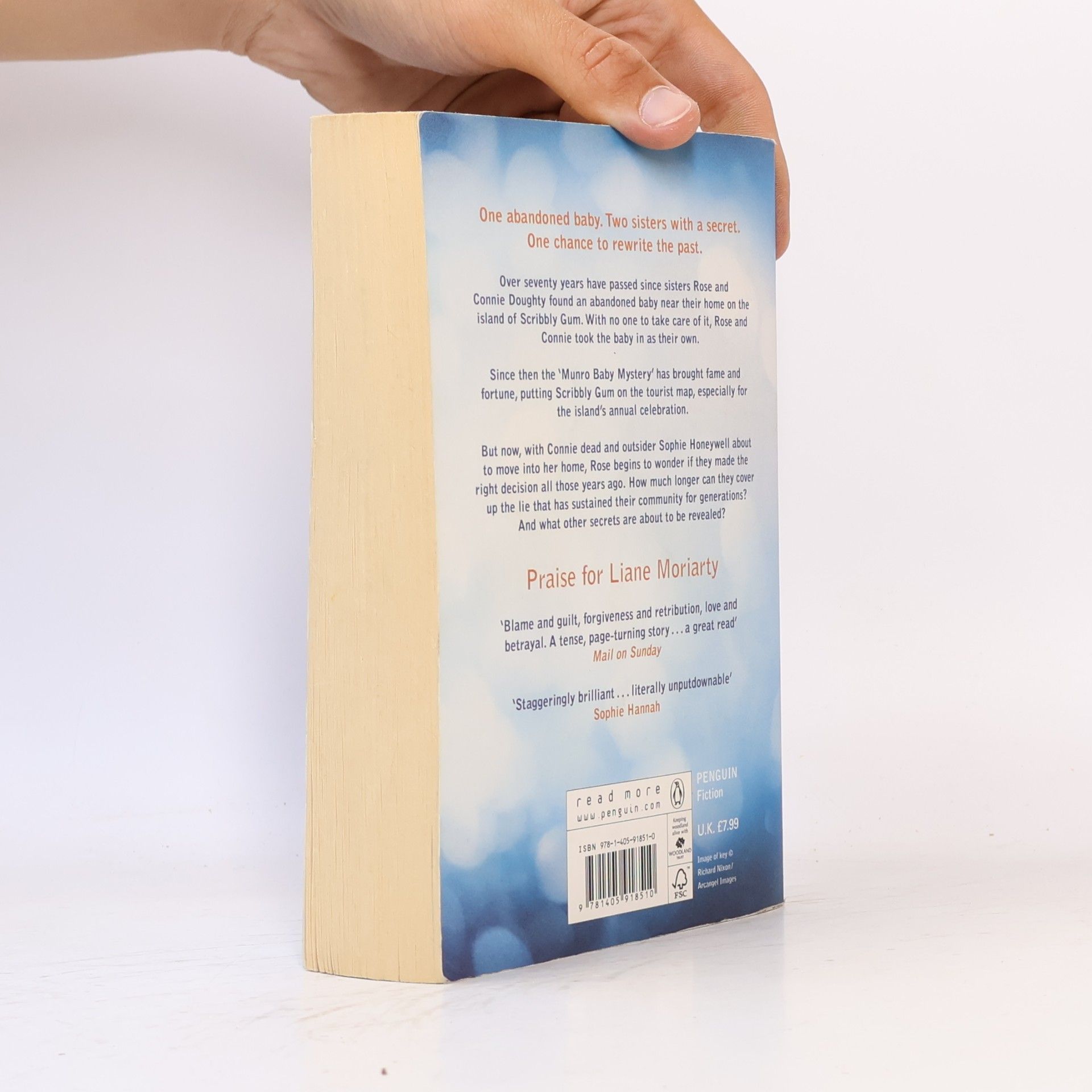 Liane Moriarty The last anniversary