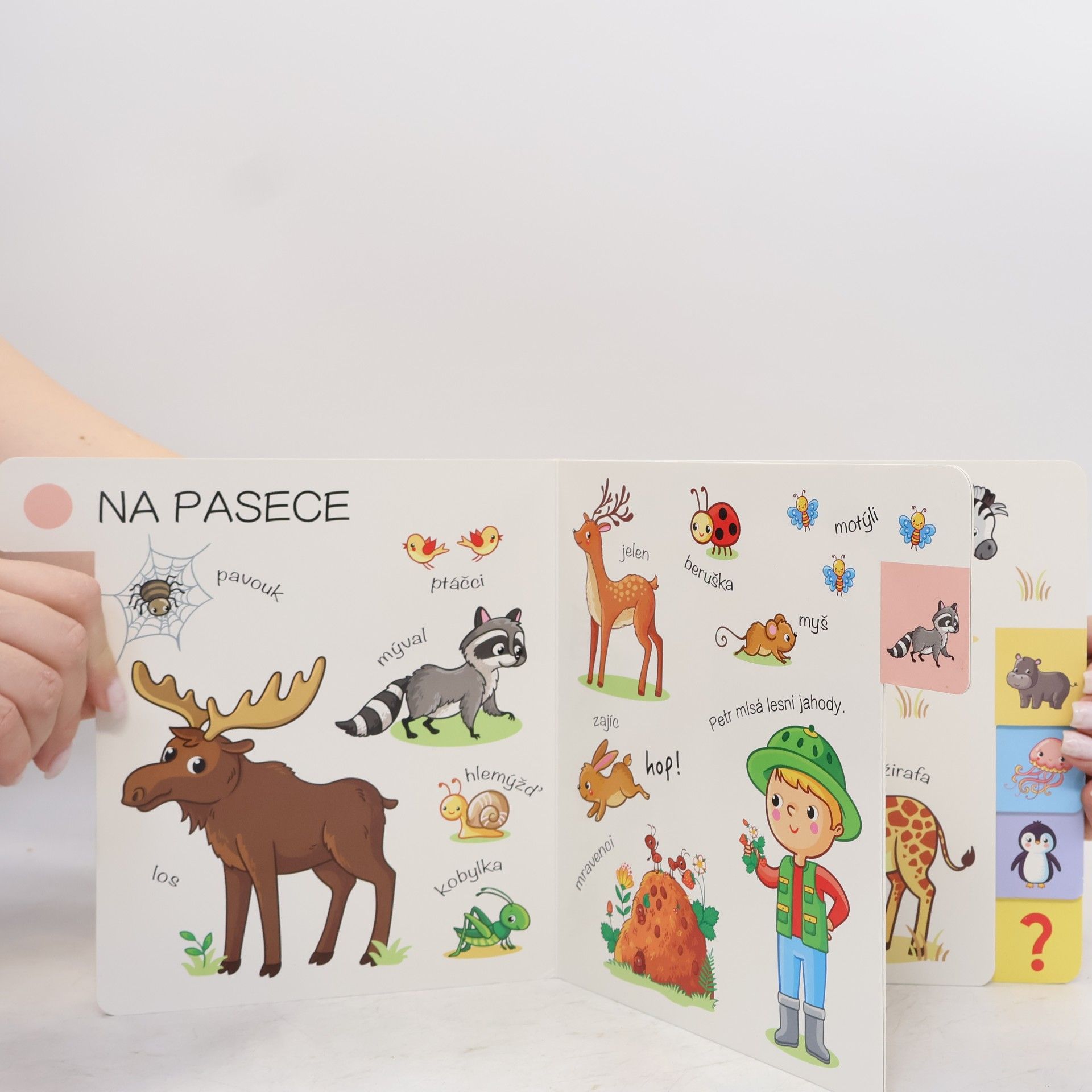 Jana Navrátilová Divoká zvířátka