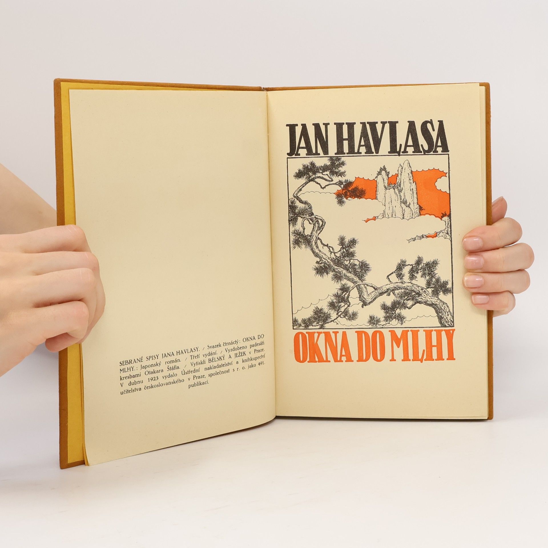 Jan Havlasa Okna do mlhy