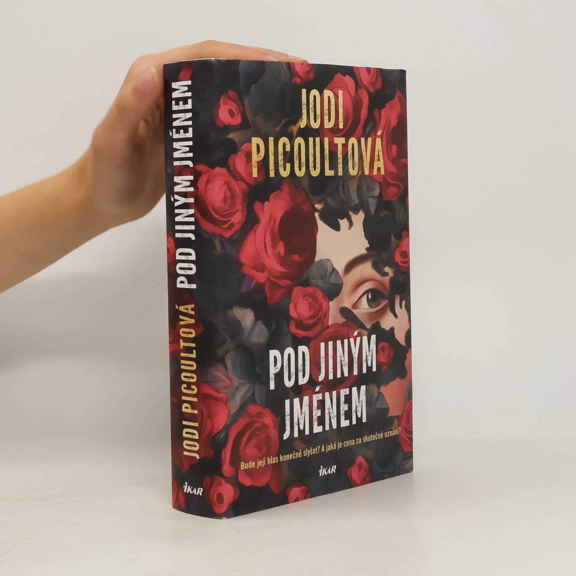 Jodi Picoult Pod jiným jménem