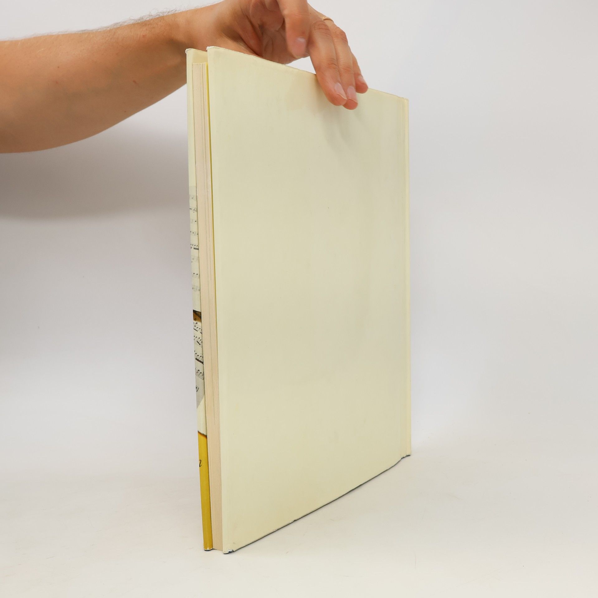 Peter Gammond Das Buch der Musik für junge Leser