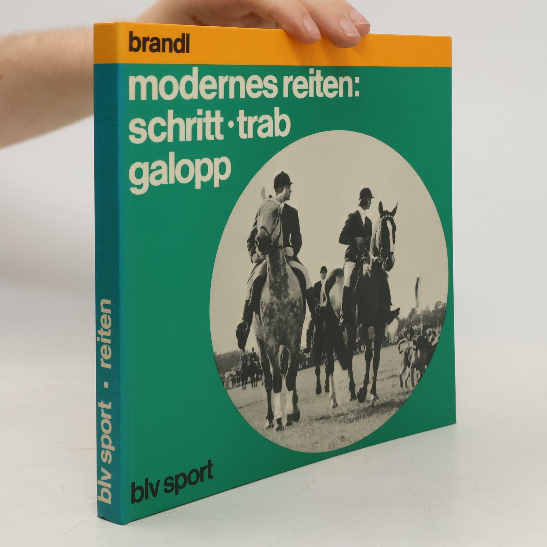 Albert Brandl modernes reiten, schritt, trab, galopp