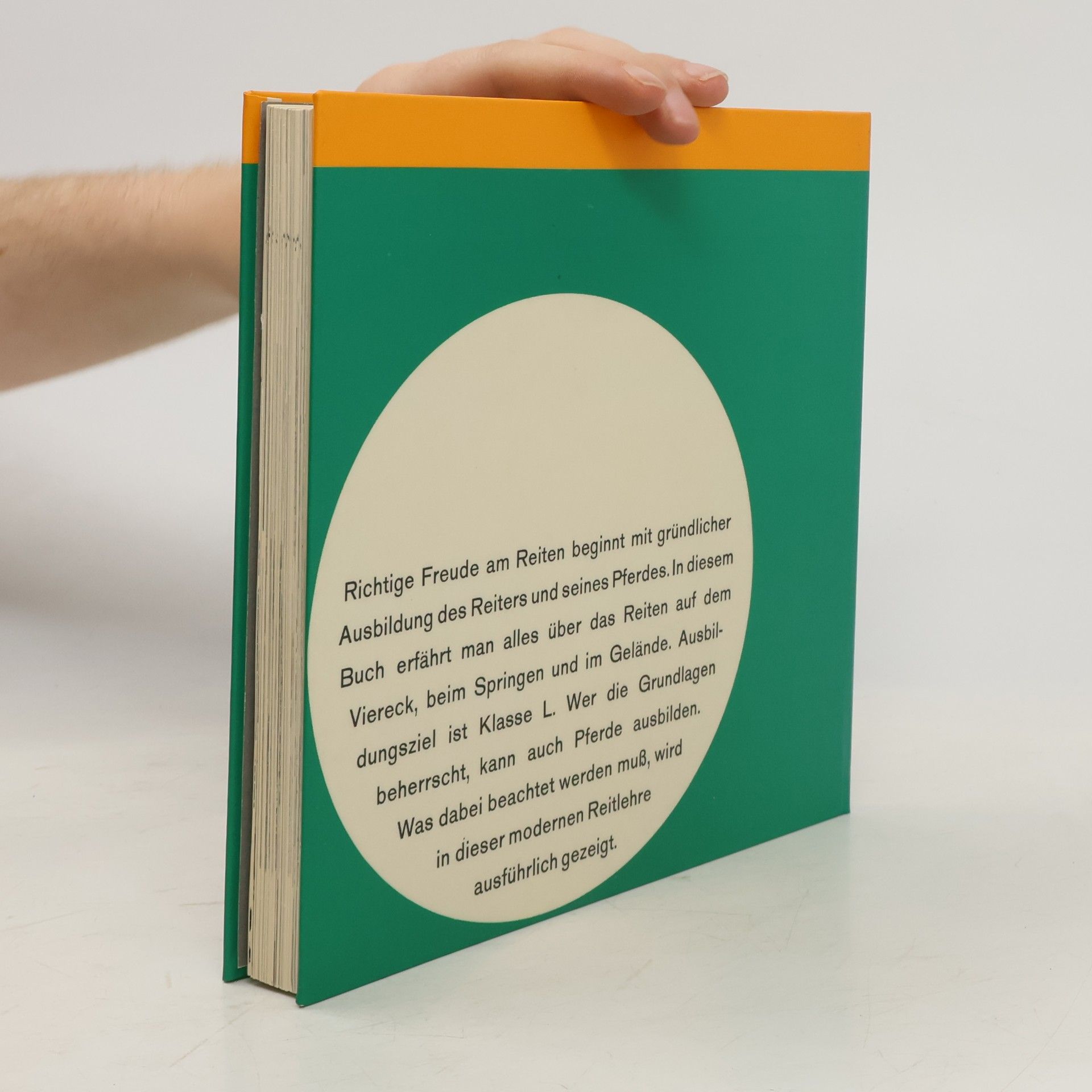 Albert Brandl modernes reiten, schritt, trab, galopp