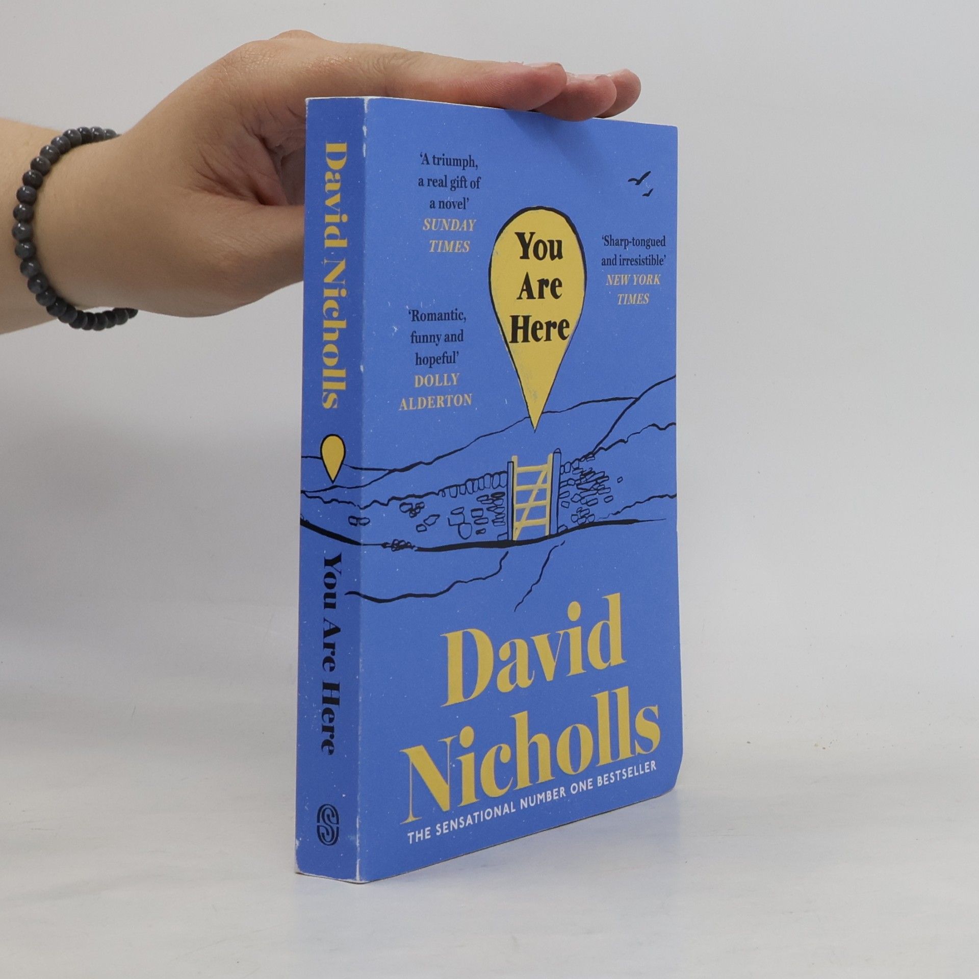 David Nicholls You Are Here