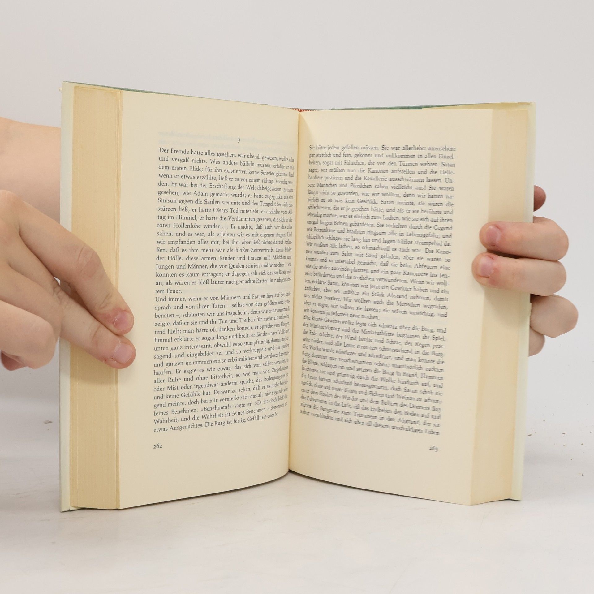 Collectif d'auteurs Das Mark-Twain-Buch