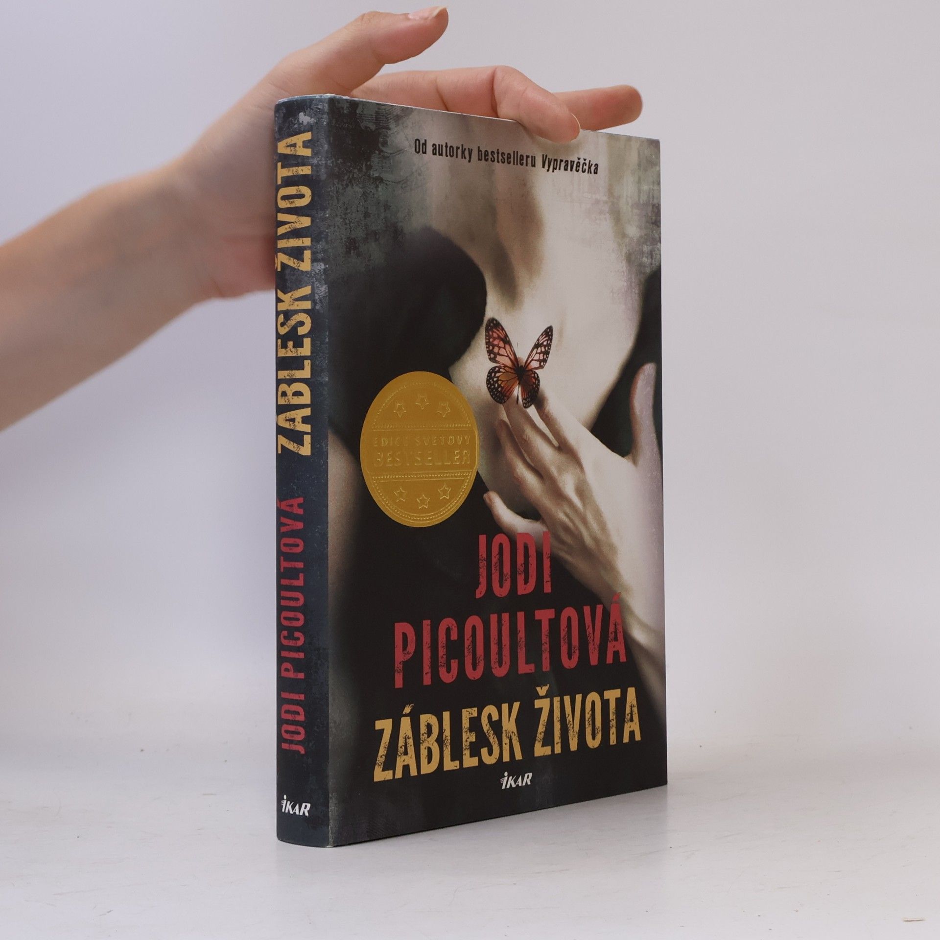 Jodi Picoult Záblesk života