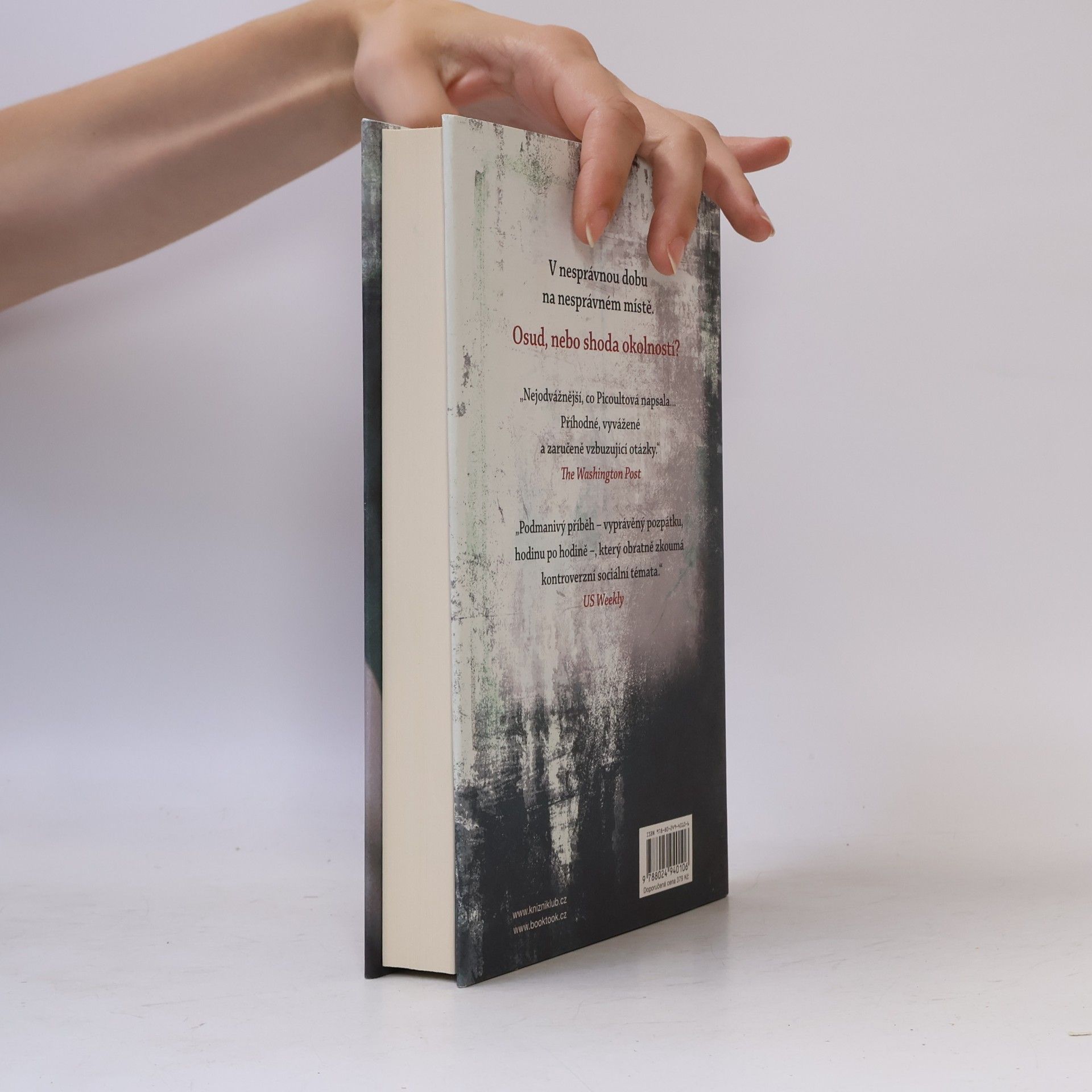 Jodi Picoult Záblesk života
