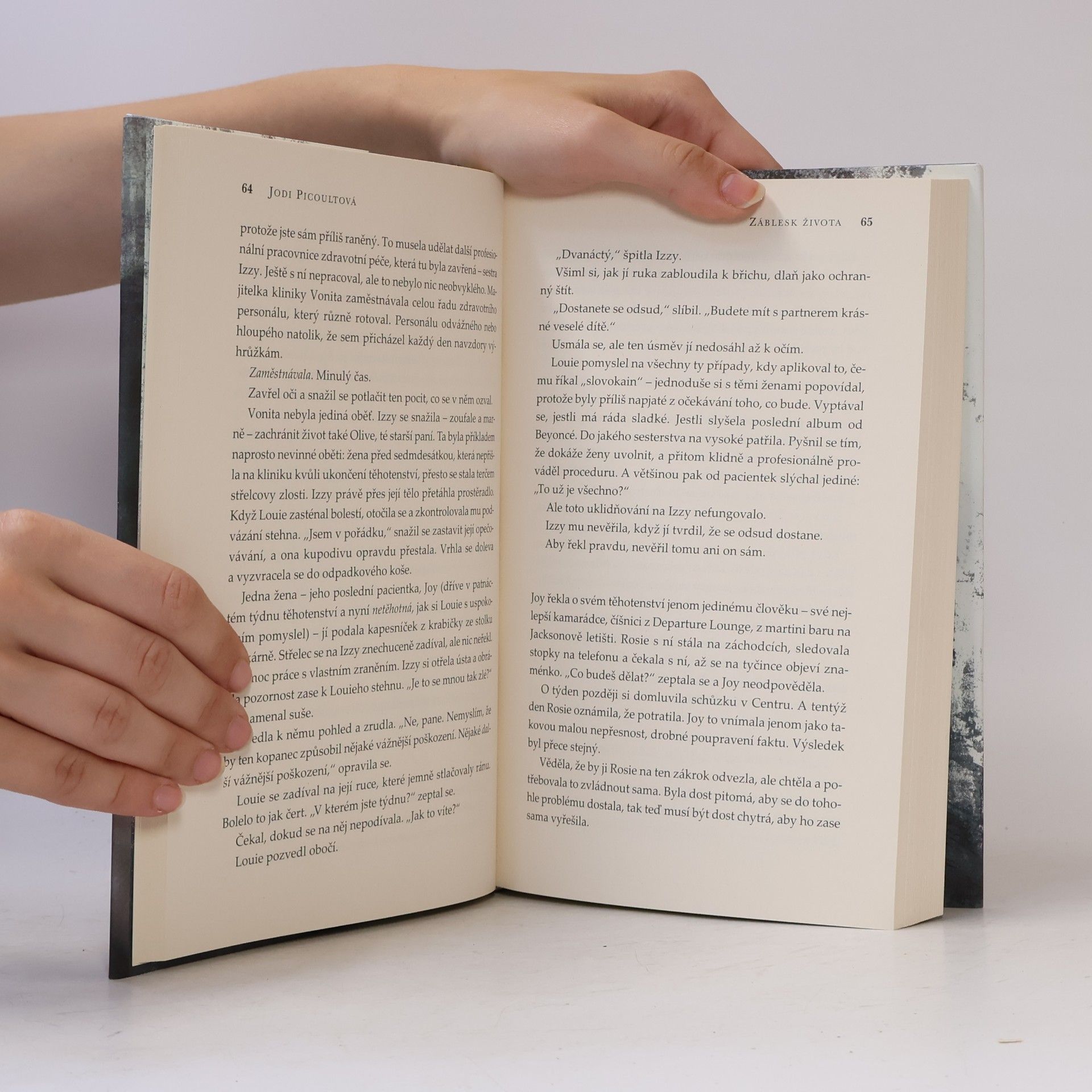 Jodi Picoult Záblesk života