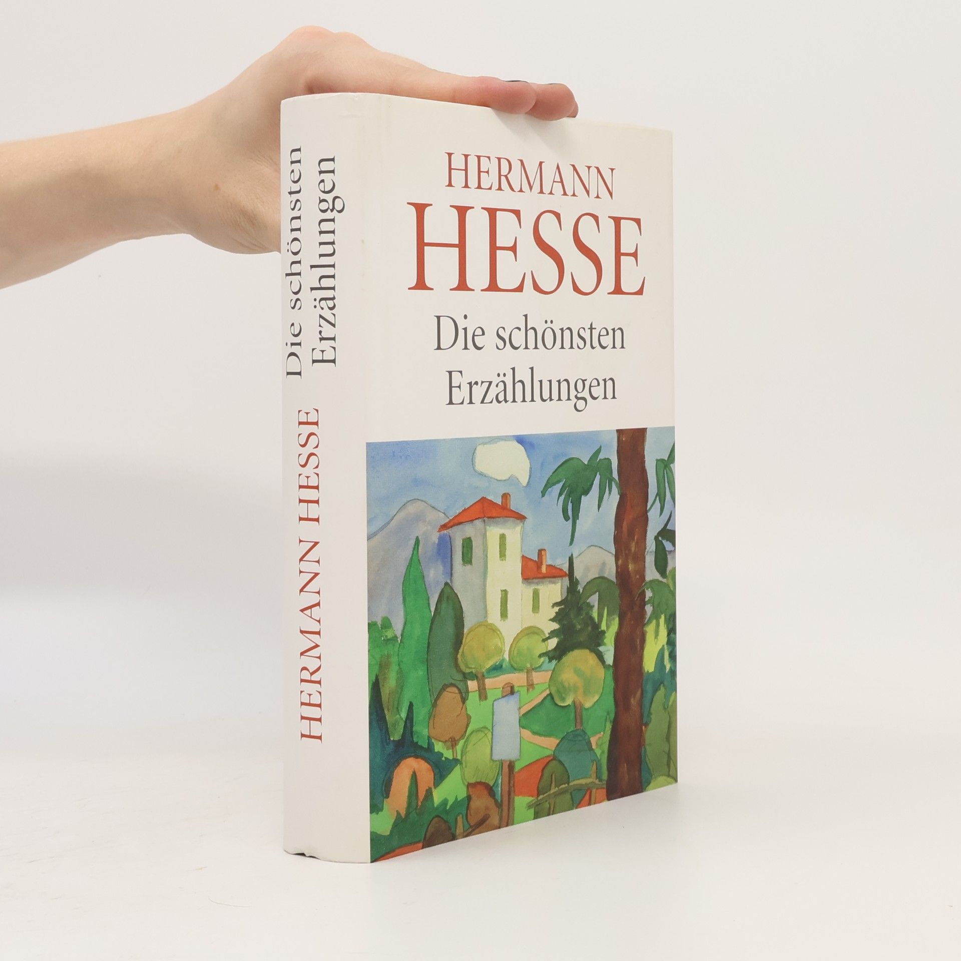 Hermann Hesse Die schönsten Erzählungen
