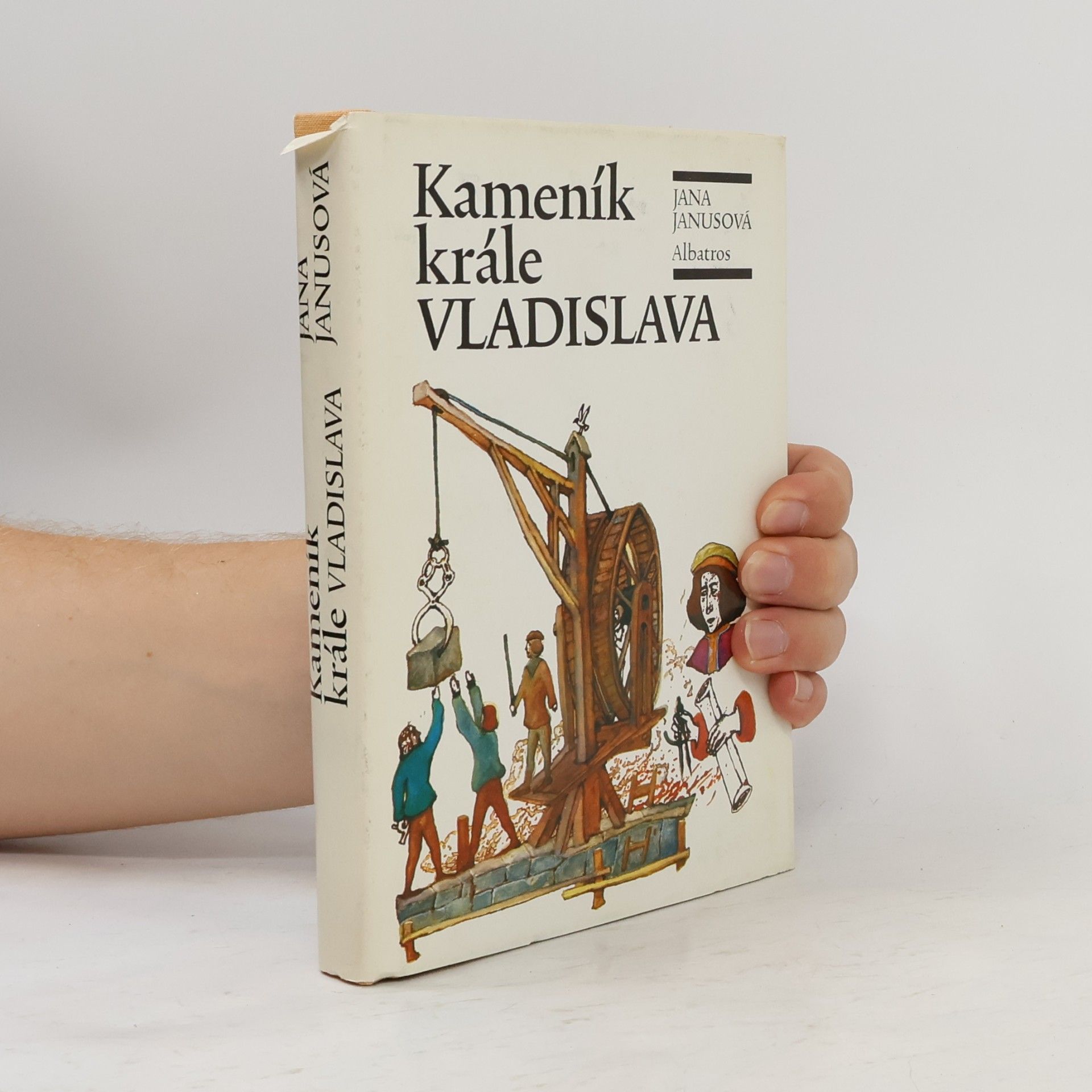 Jana Janusová Kameník krále Vladislava