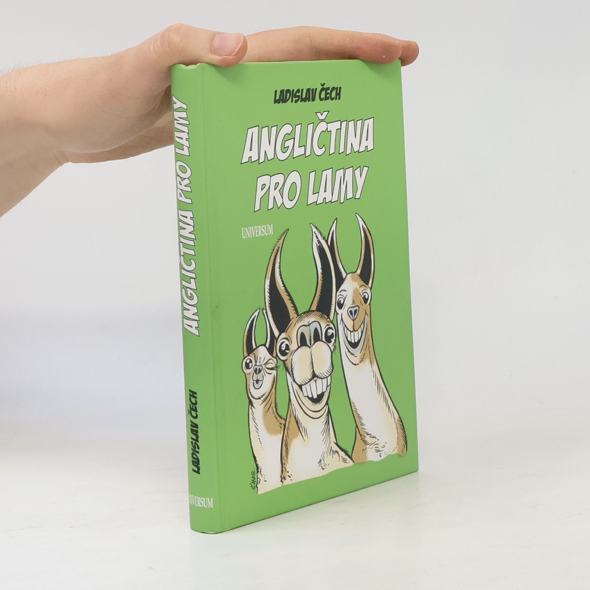 Angličtina pro lamy