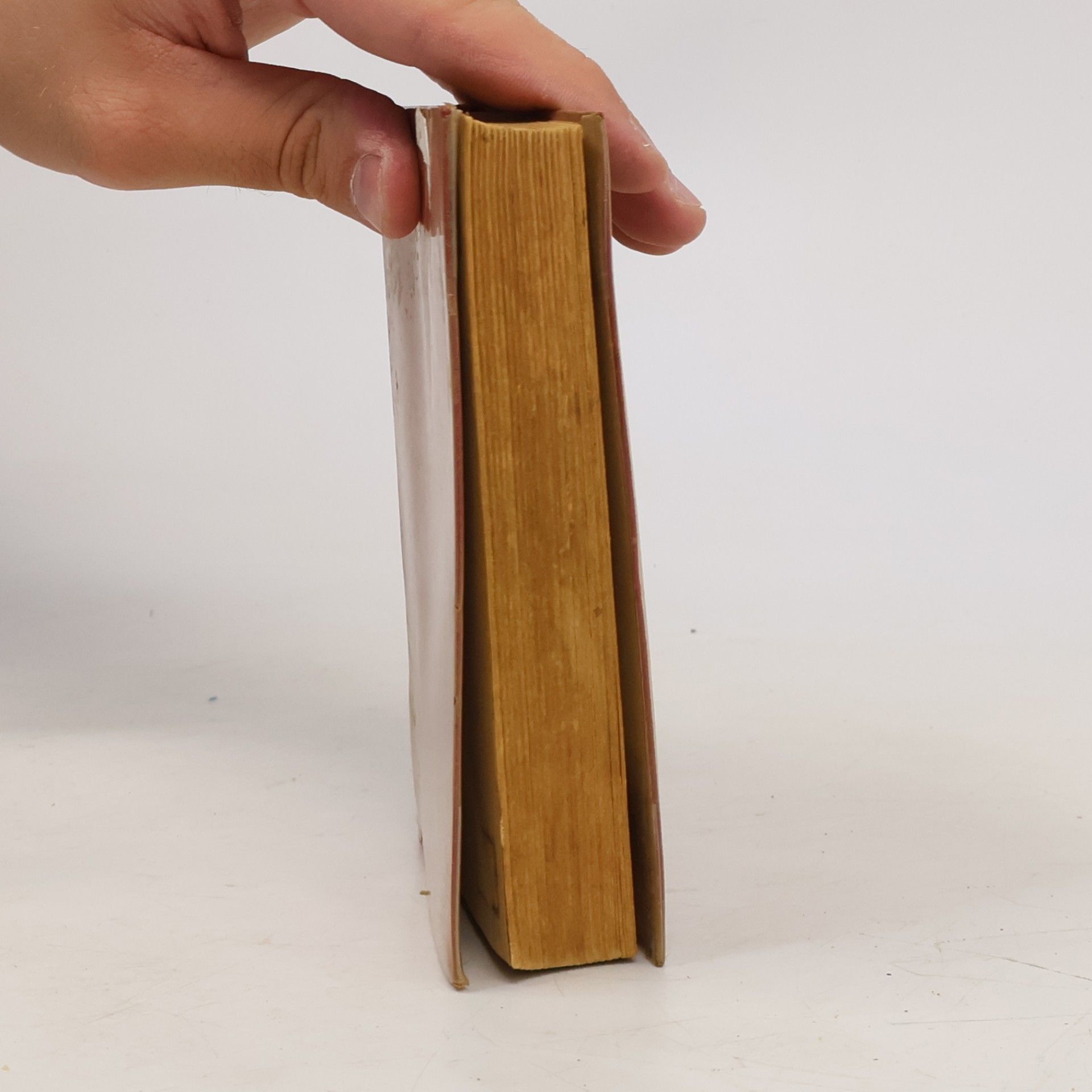 Autorenkollektiv Französisches Wörterbuch