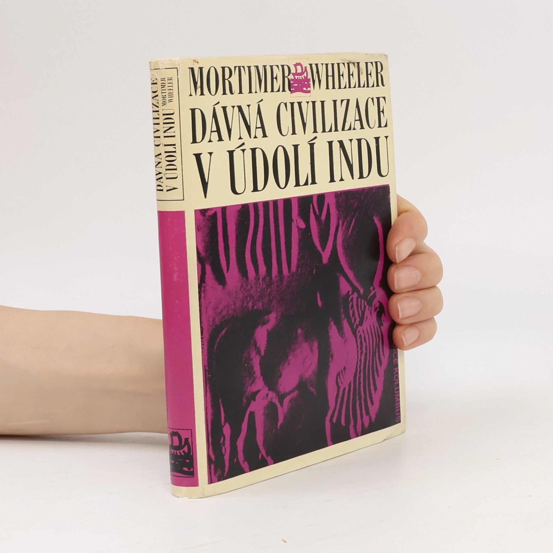 Dávná civilizace v údolí Indu