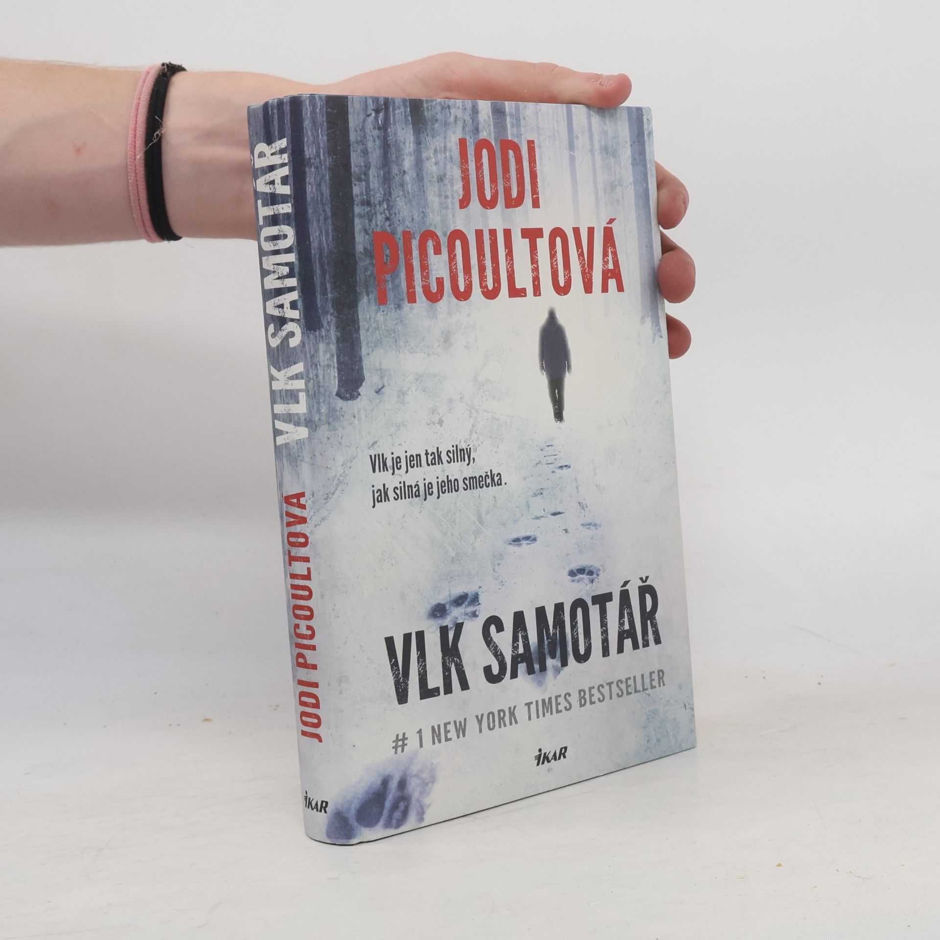 Jodi Picoult Vlk samotář