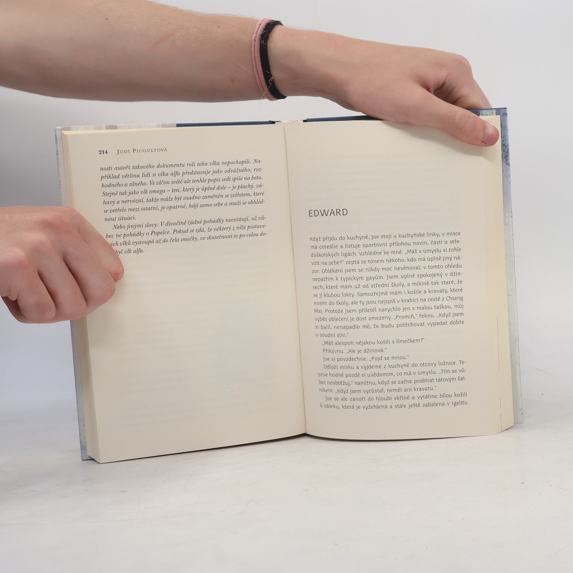 Jodi Picoult Vlk samotář