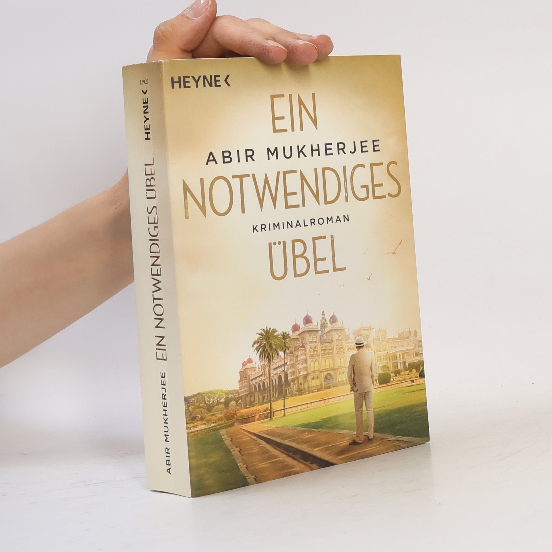 Abir Mukherjee Ein notwendiges Übel