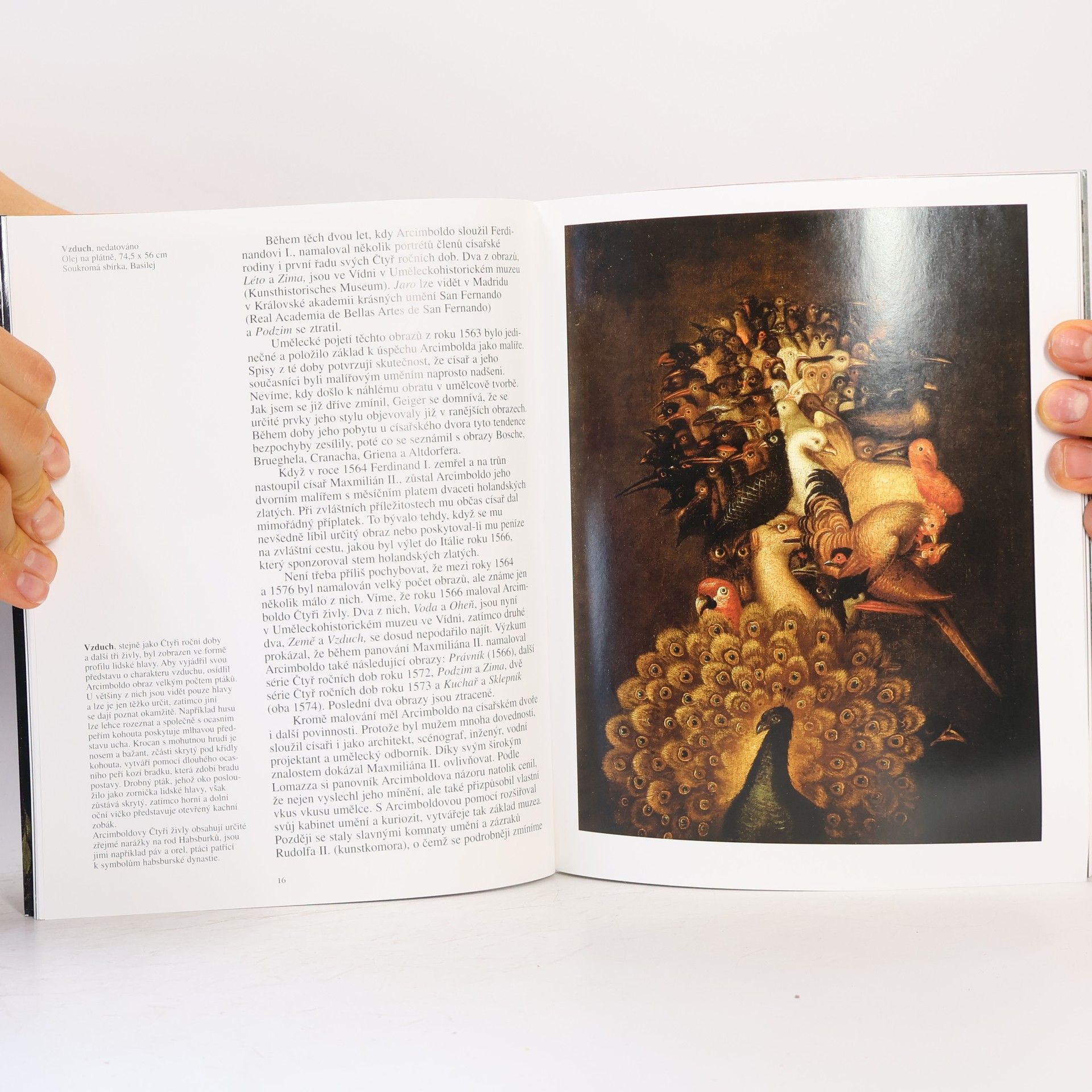 Werner Kriegeskorte Giuseppe Arcimboldo : 1527-1593