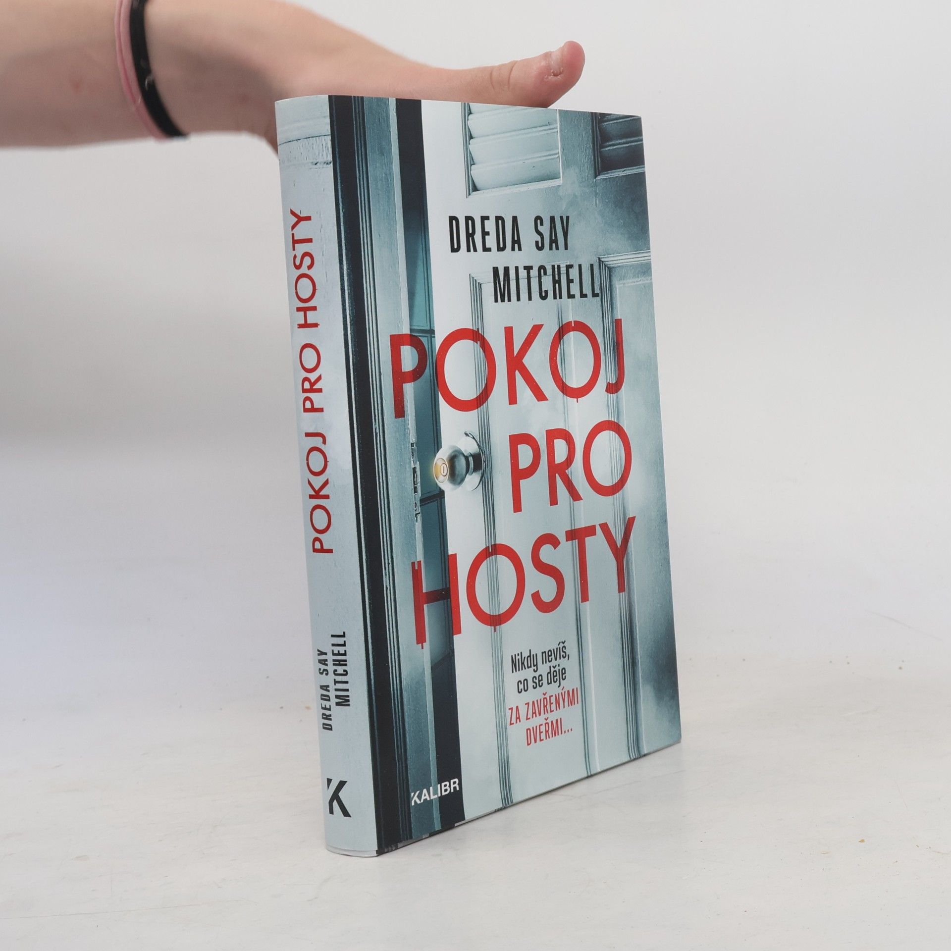 Dreda Say Mitchell Pokoj pro hosty
