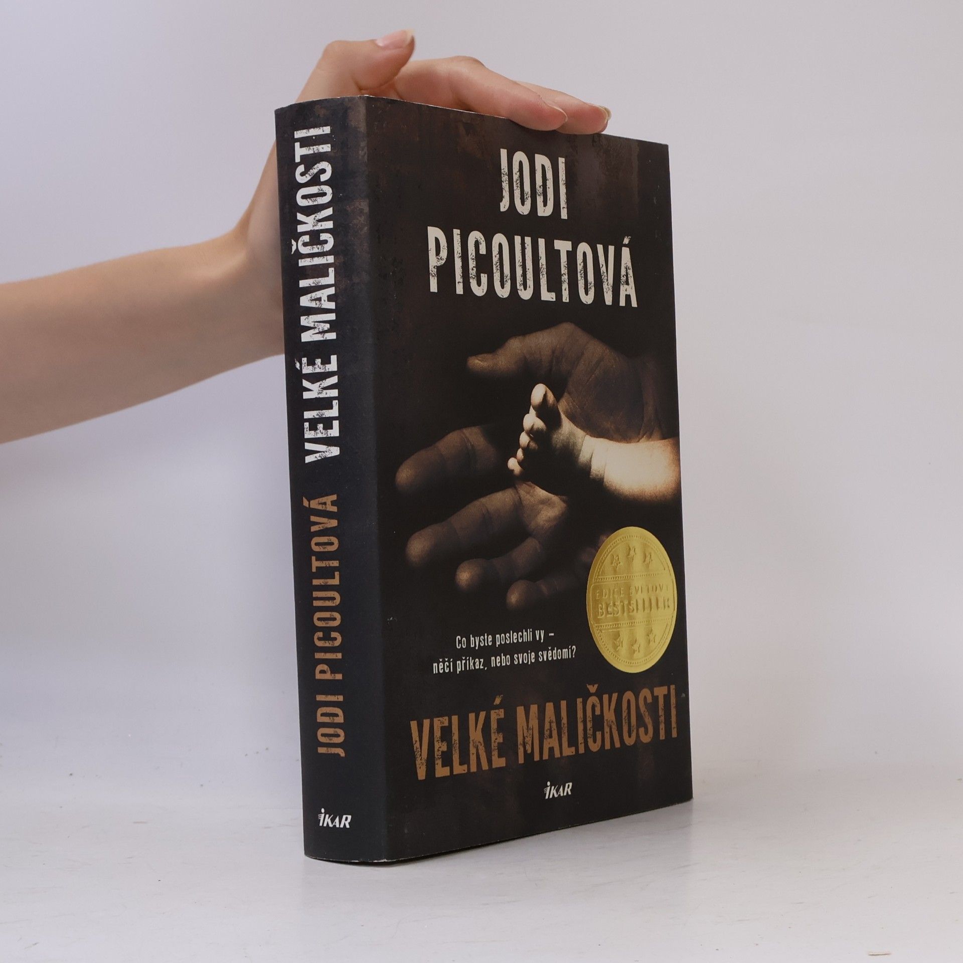 Jodi Picoult Velké maličkosti