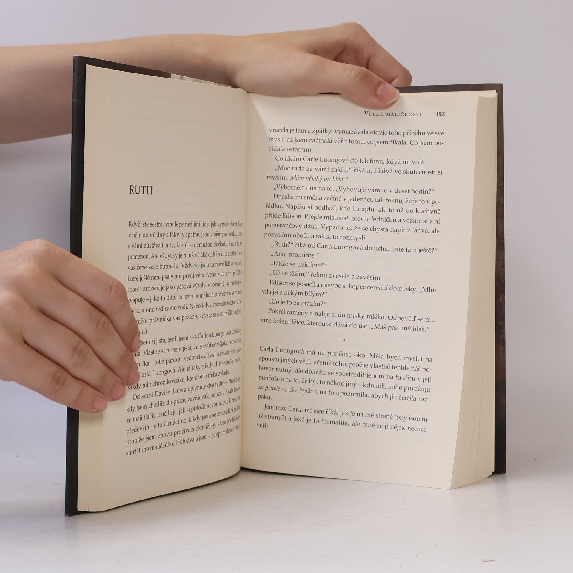 Jodi Picoult Velké maličkosti