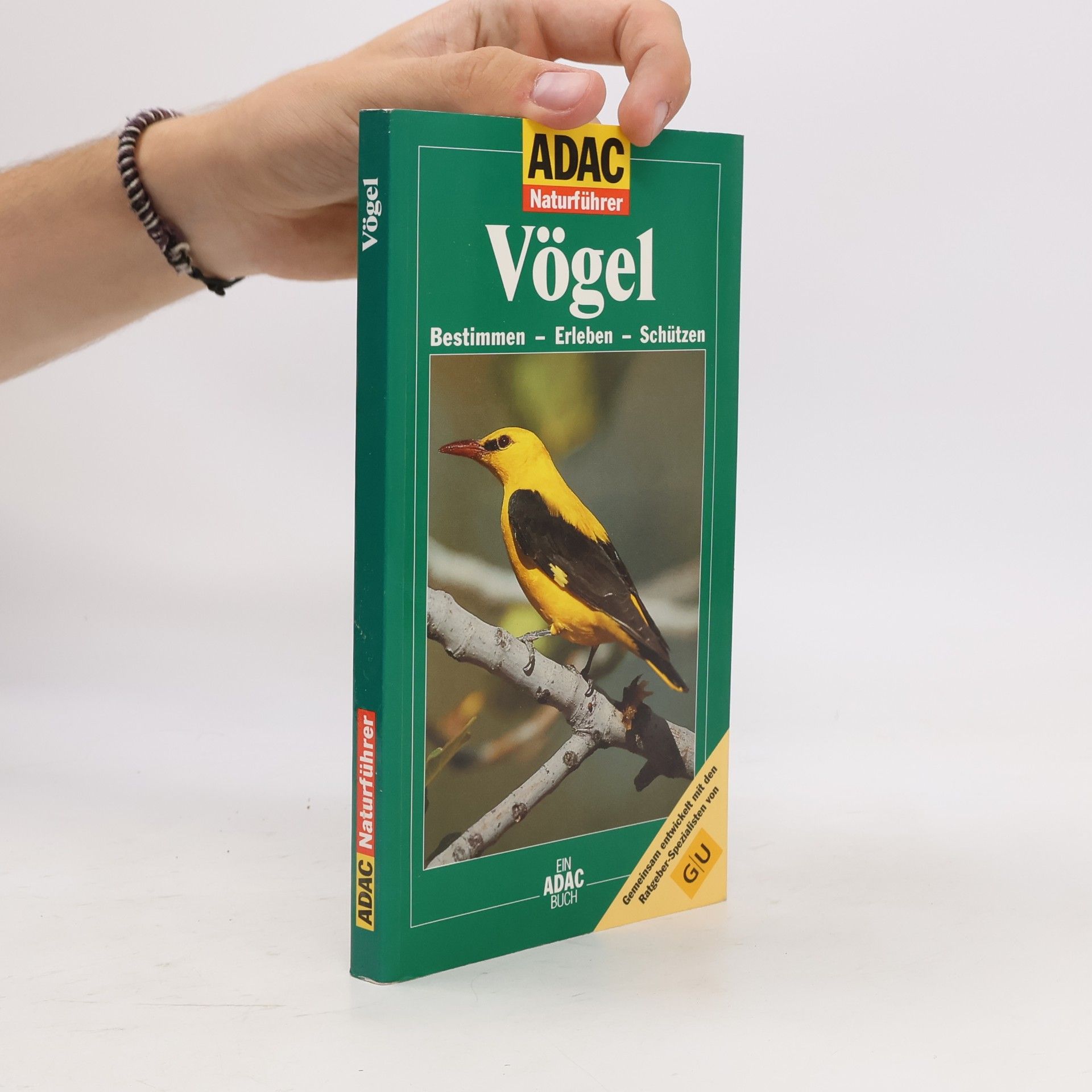 Vögel
