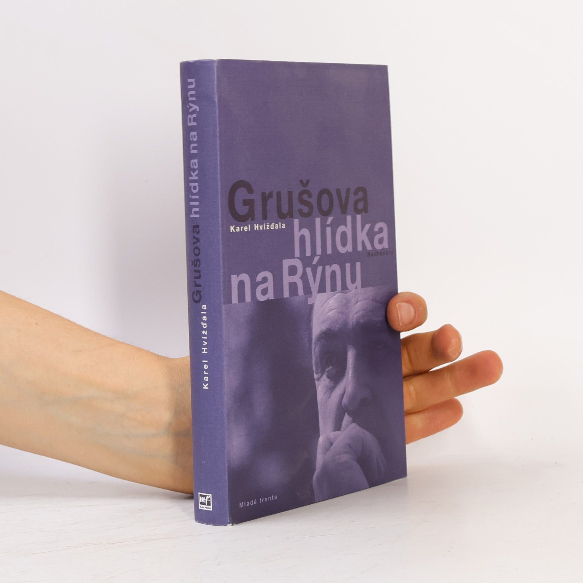 Jiří Gruša Grušova hlídka na Rýnu: Rozhovory z let 1983-2011