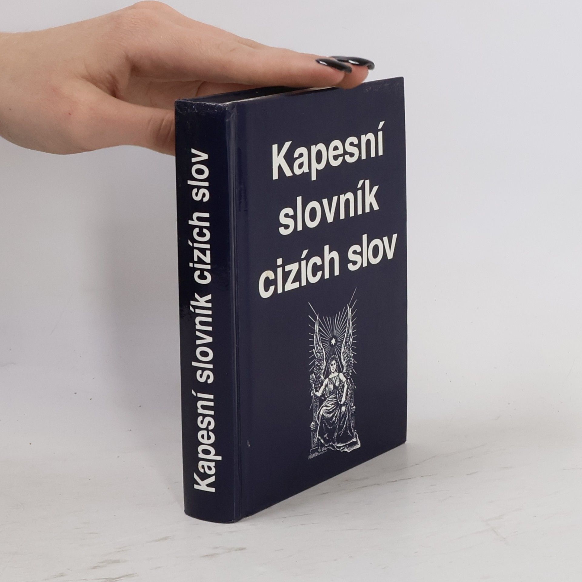 Autorenkollektiv Kapesní slovník cizích slov