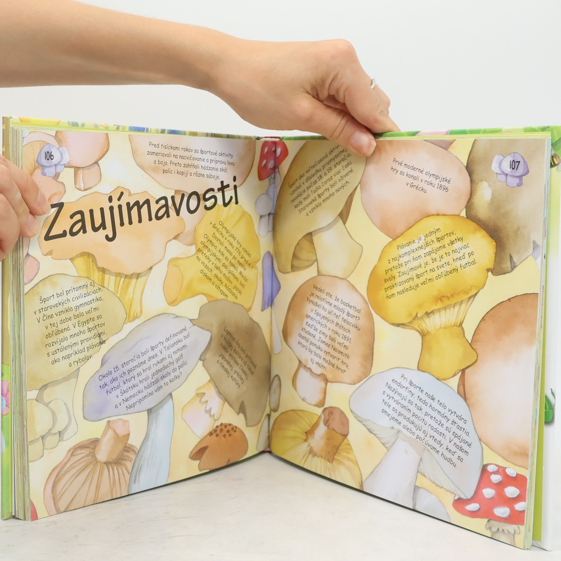 Collectif d'auteurs Drobní chiminiovia s vel'kým srdcom