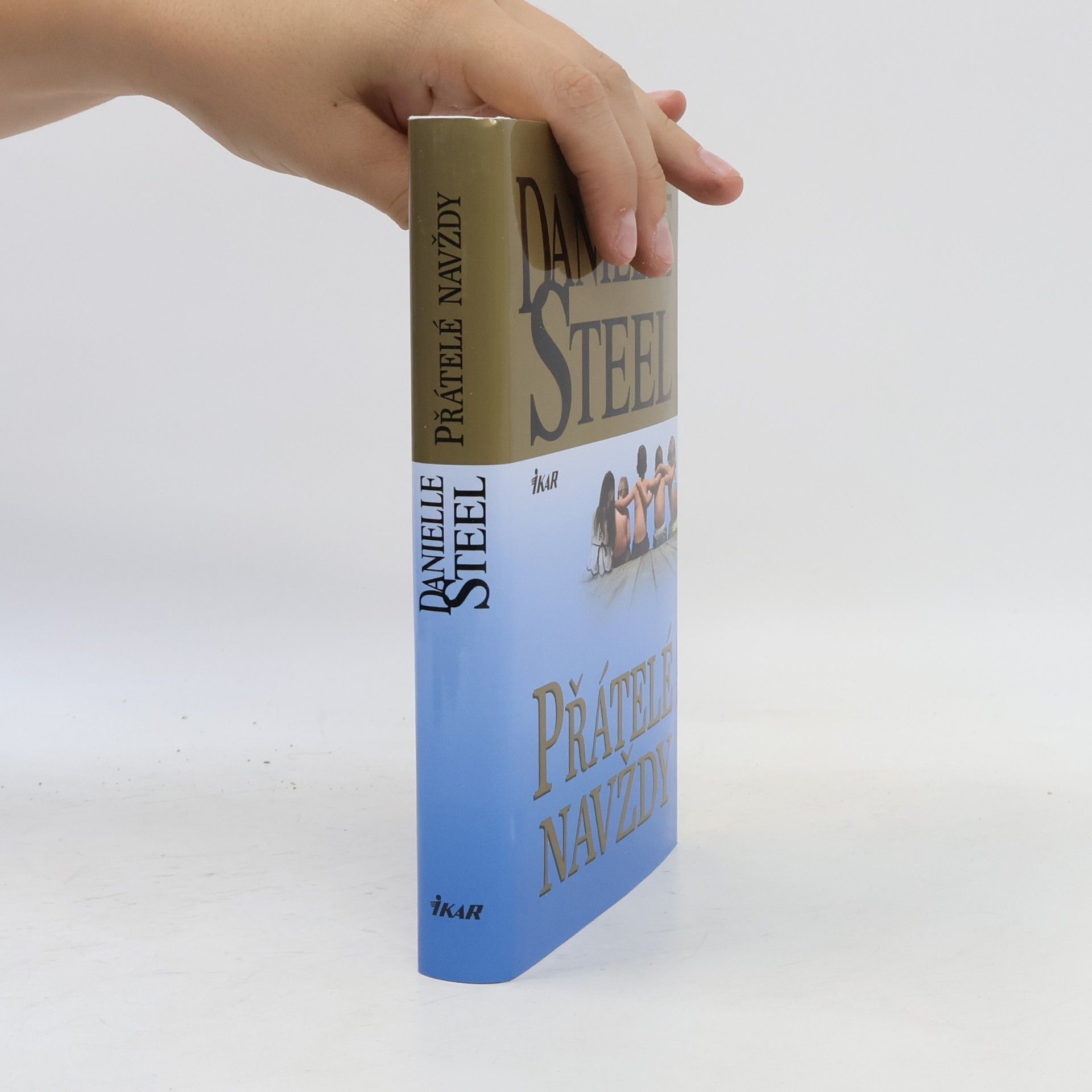 Danielle Steel Přátelé navždy