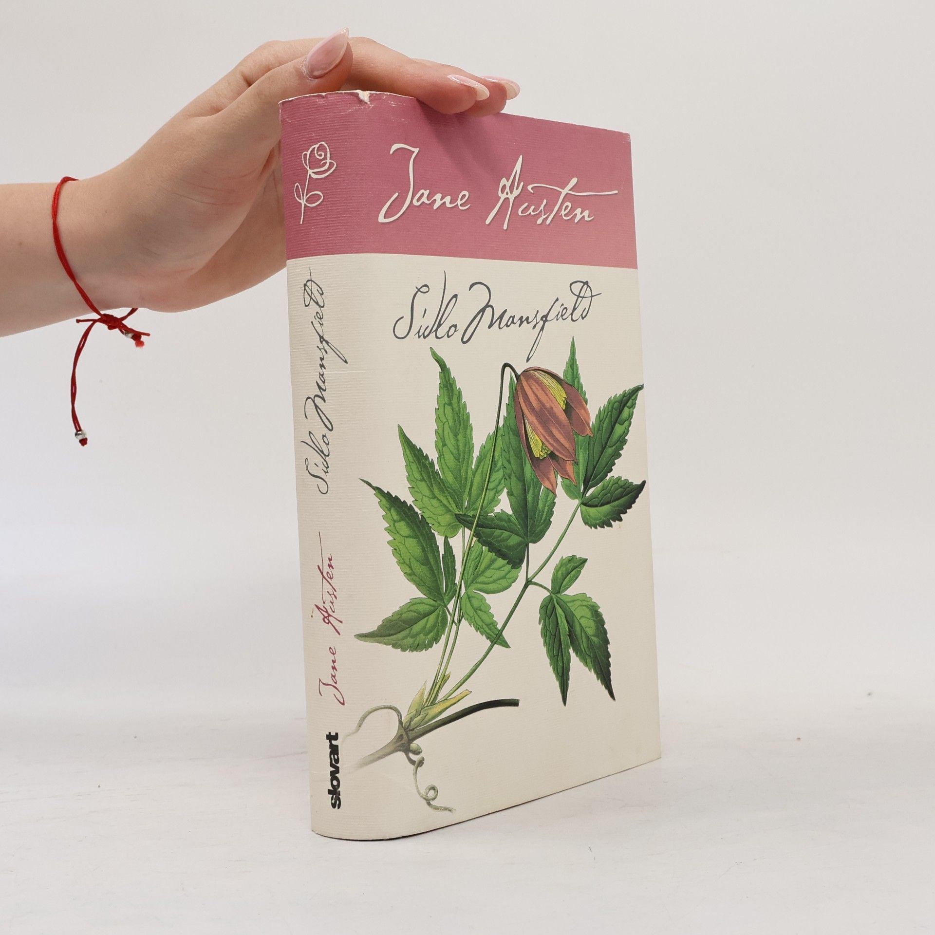 Jane Austen Sídlo Mansfield