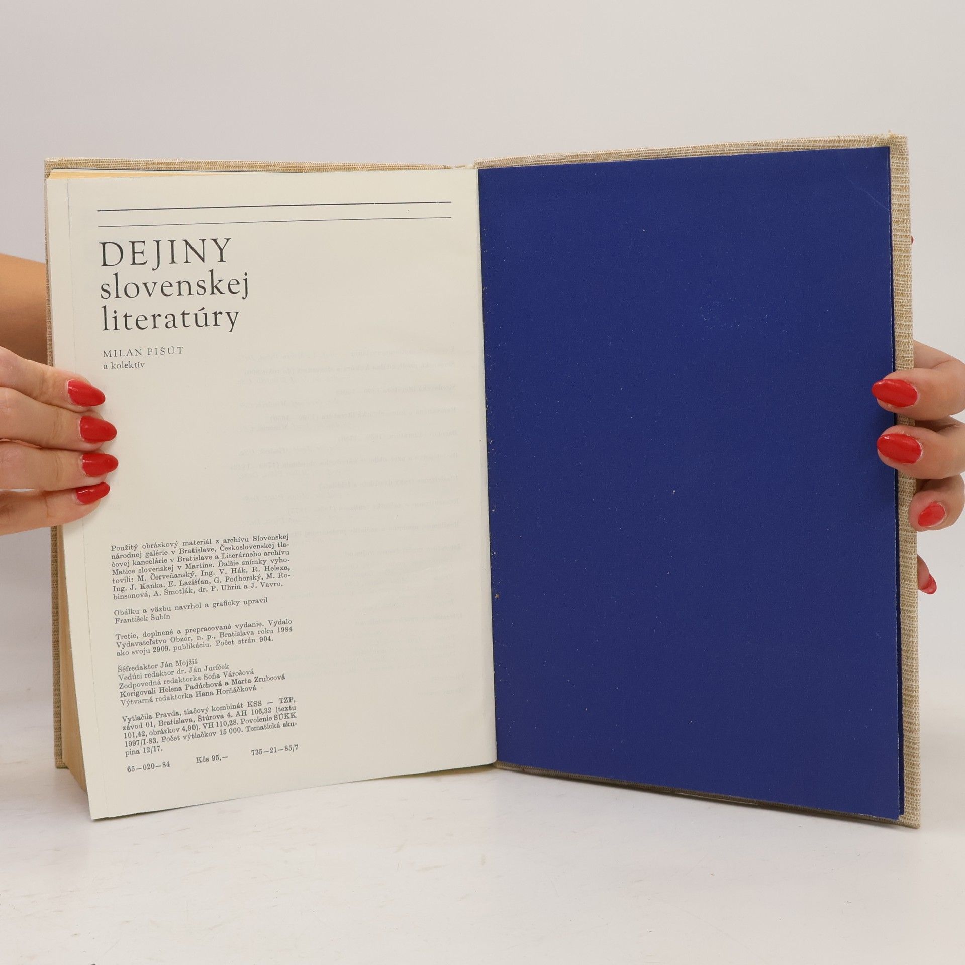 Milan Pišút Dejiny slovenskej literatúry