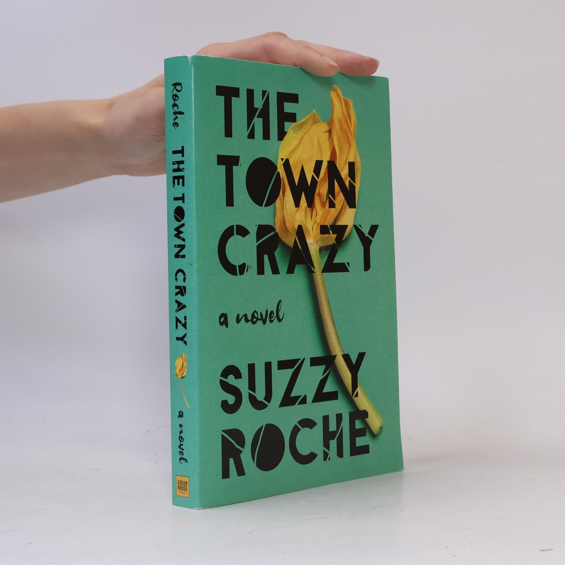 Suzzy Roche The Town Crazy