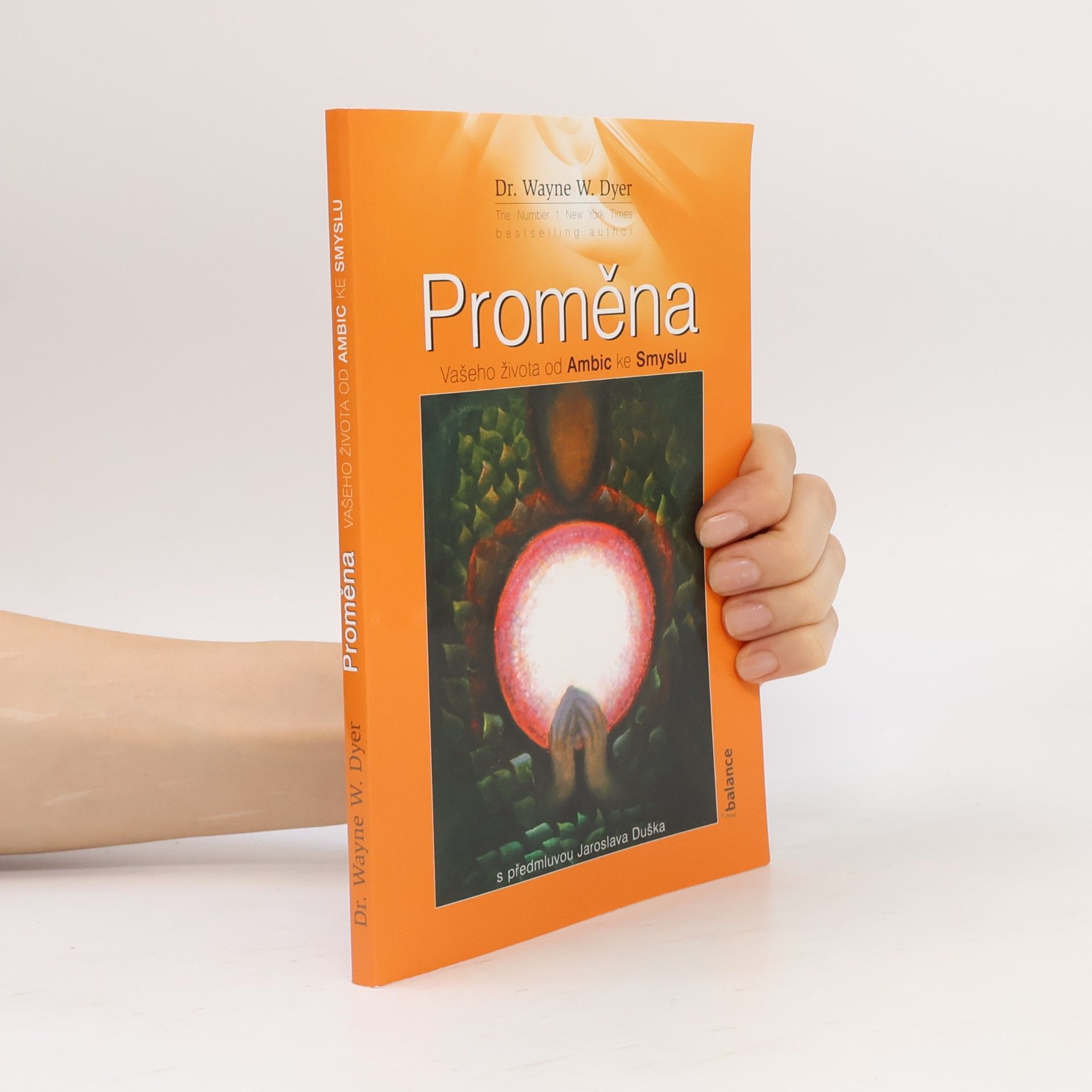 Wayne W. Dyer Proměna vašeho života od ambic ke smyslu