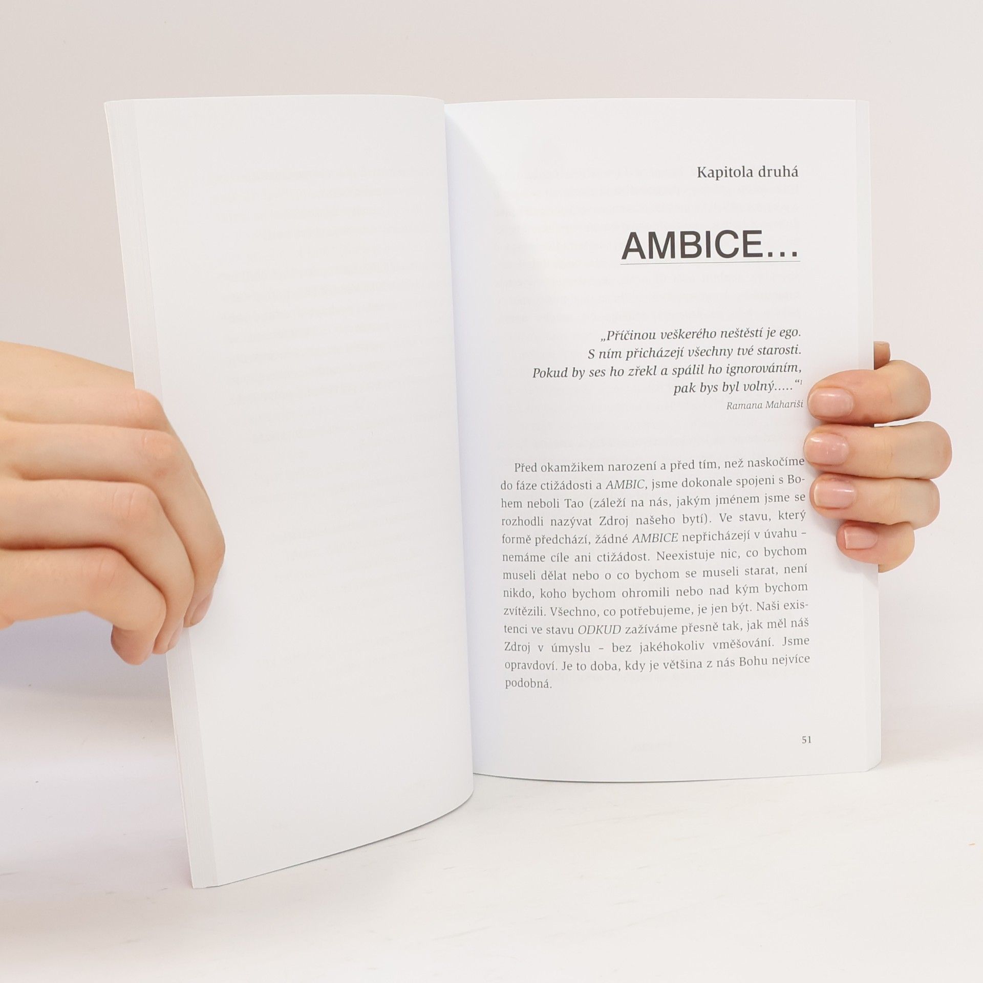 Wayne W. Dyer Proměna vašeho života od ambic ke smyslu