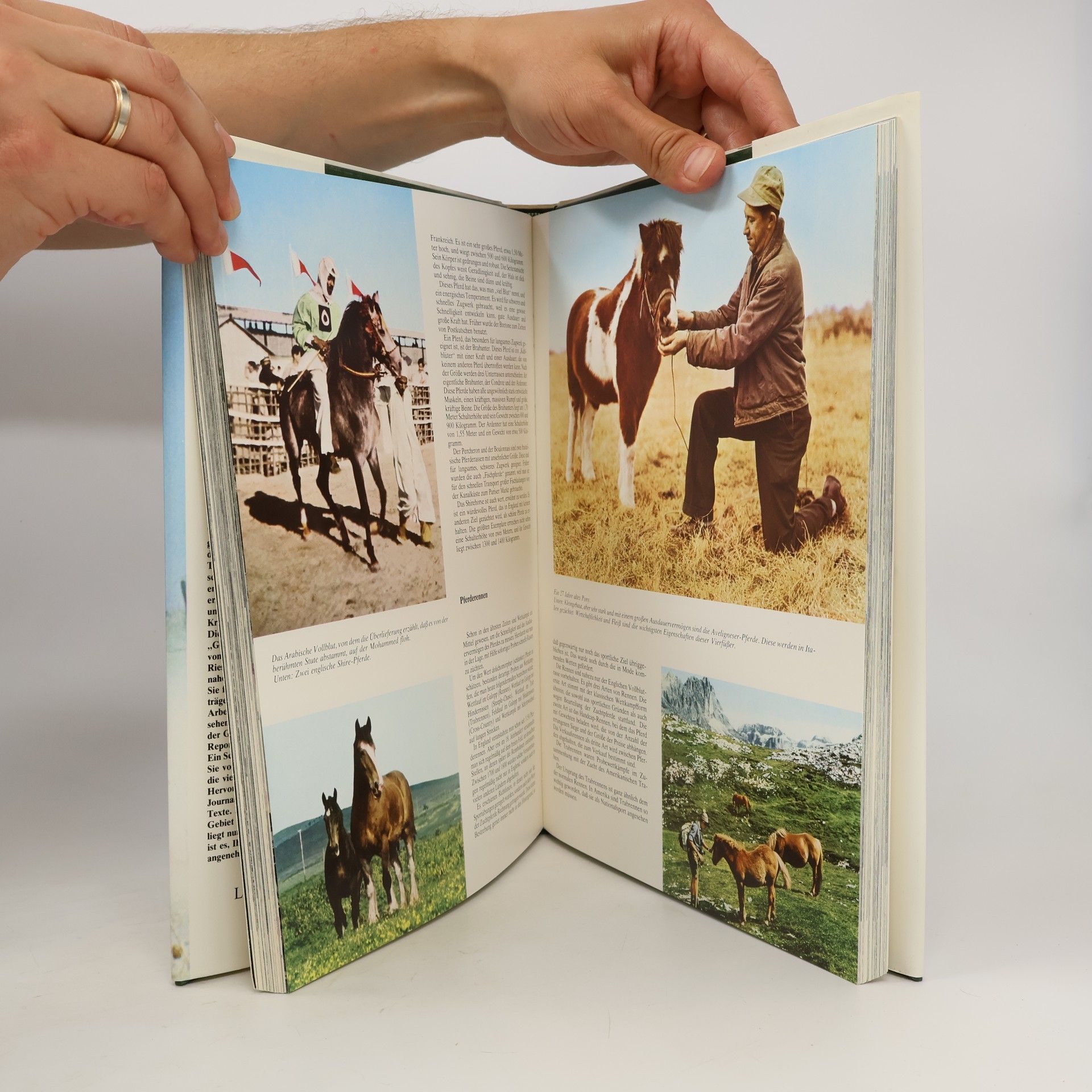 Autorenkollektiv Die Geheimnisse der Tierwelt: Riesen aus dem Urwald, Band 2