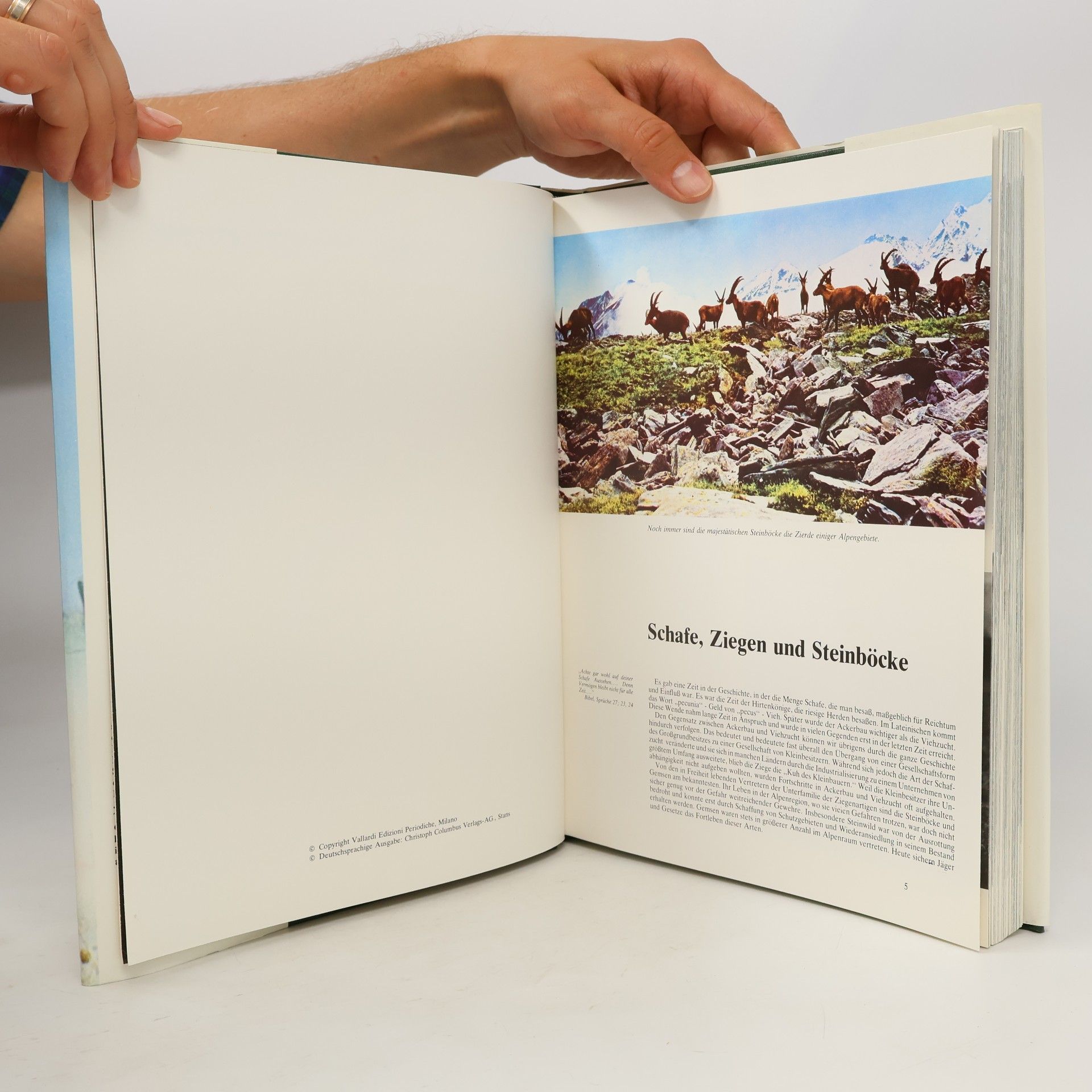 Autorenkollektiv Die Geheimnisse der Tierwelt: Riesen aus dem Urwald, Band 2