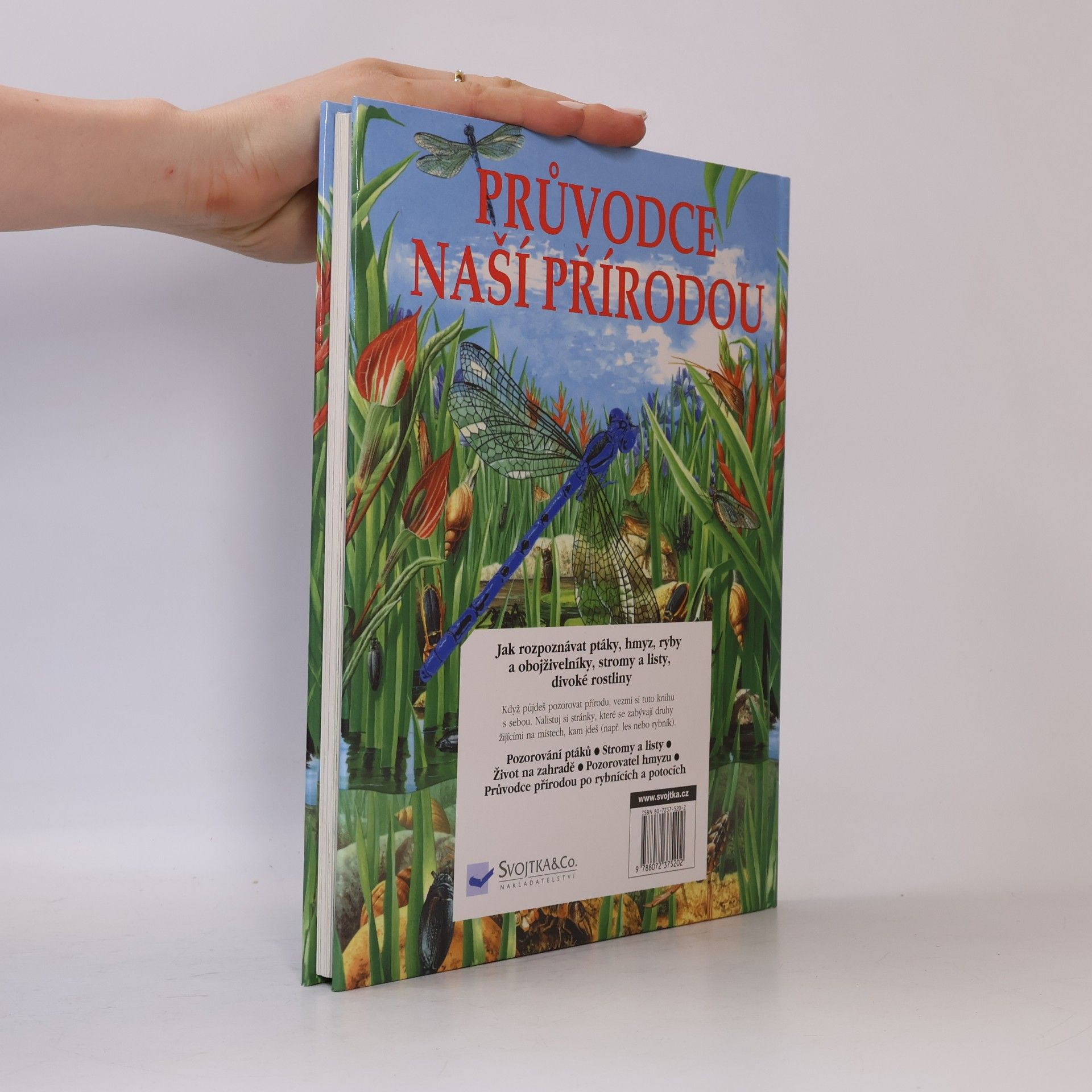 Autorenkollektiv Průvodce naší přírodou