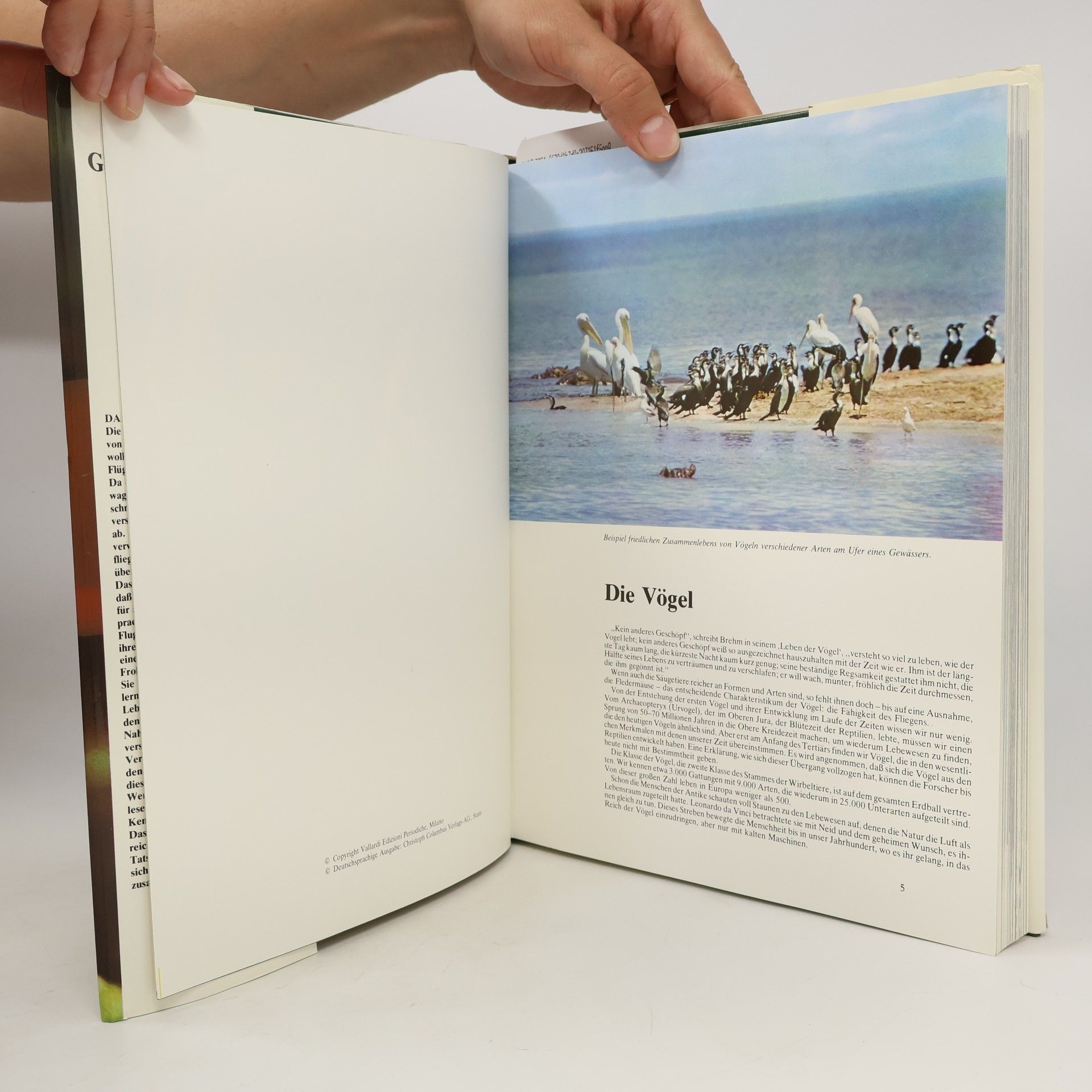 Autorenkollektiv Die Geheimnisse der Tierwelt. Das Reich der Sänger. Band 5. Vögel 1