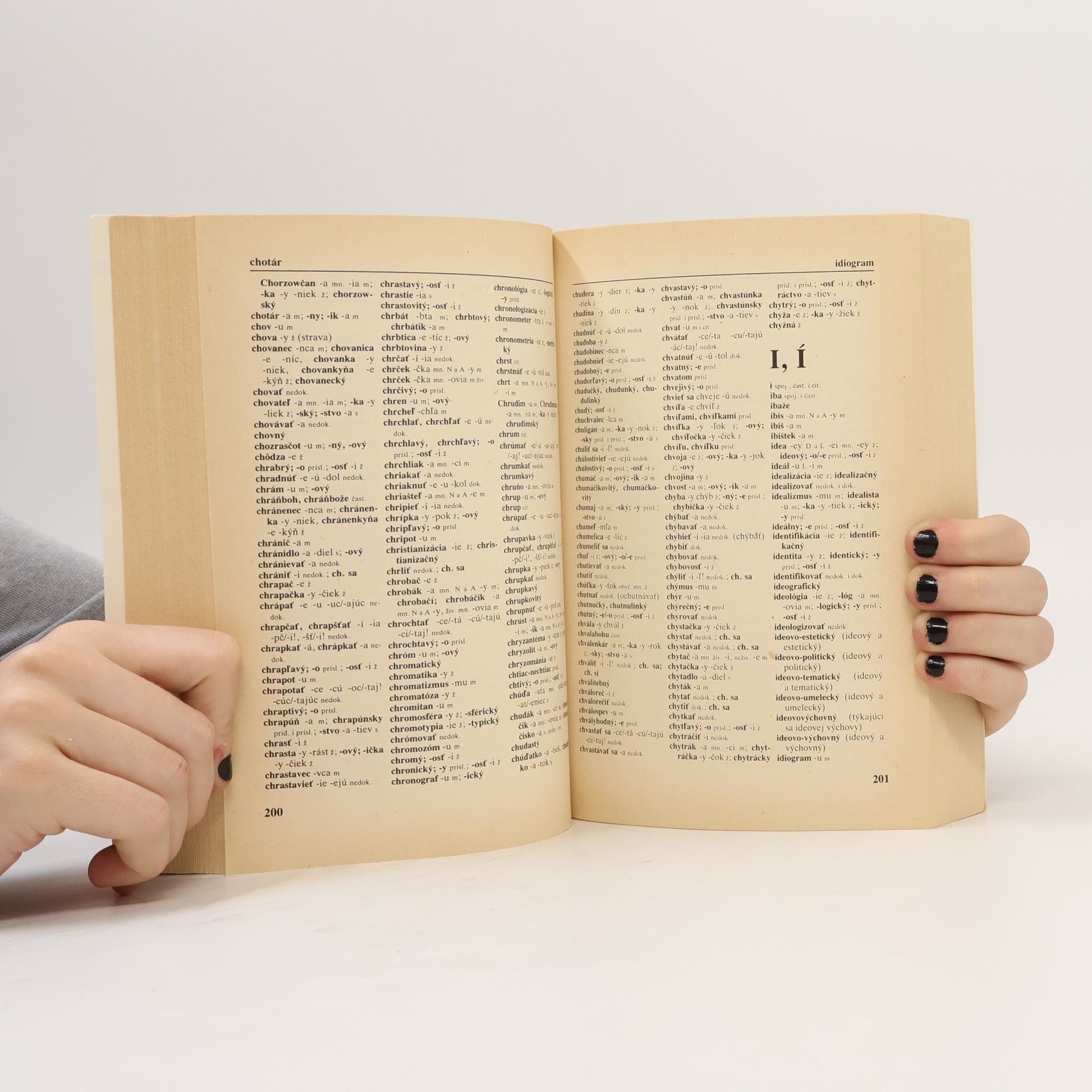 Collectif d'auteurs Pravidlá slovenského pravopisu