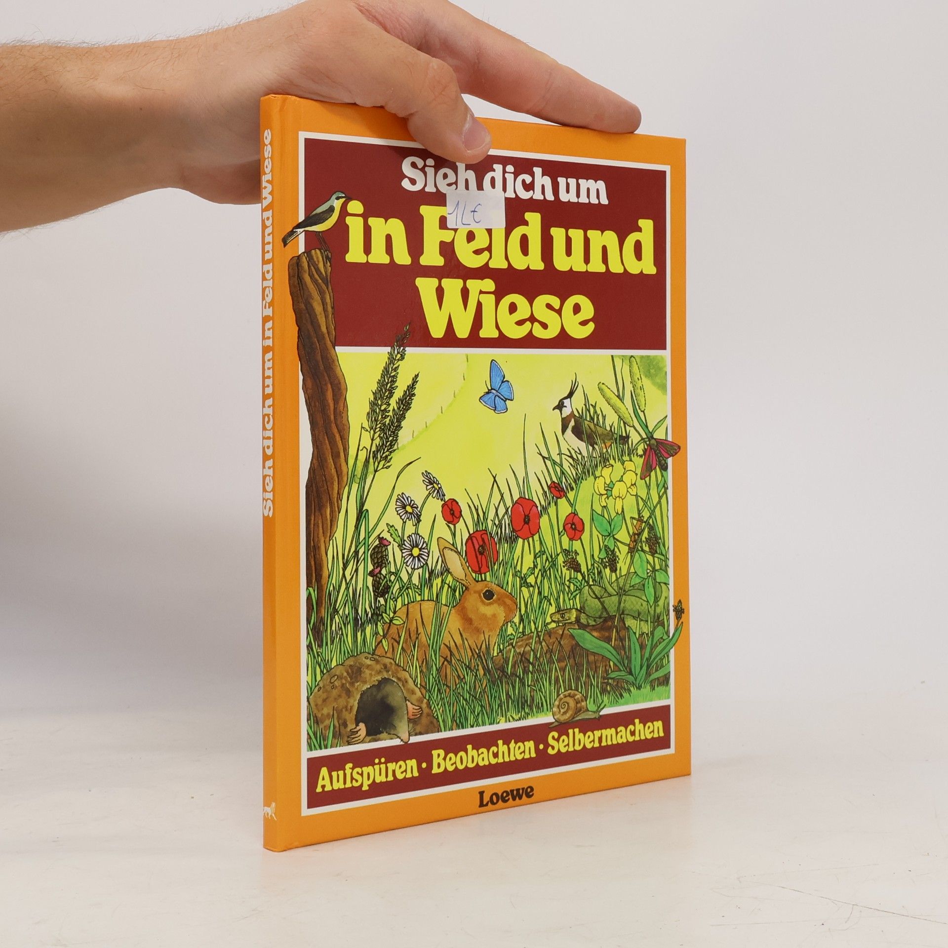 John Gosler Sieh dich um in Feld und Wiese
