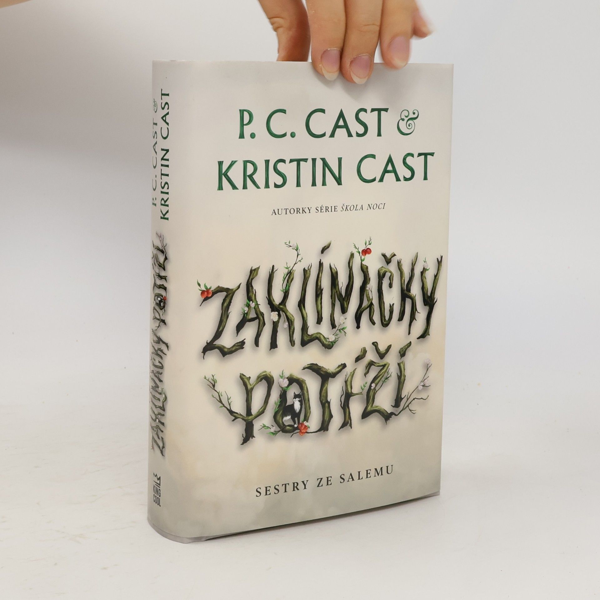 P. C. Cast Sestry ze Salemu. Zaklínačky potíží