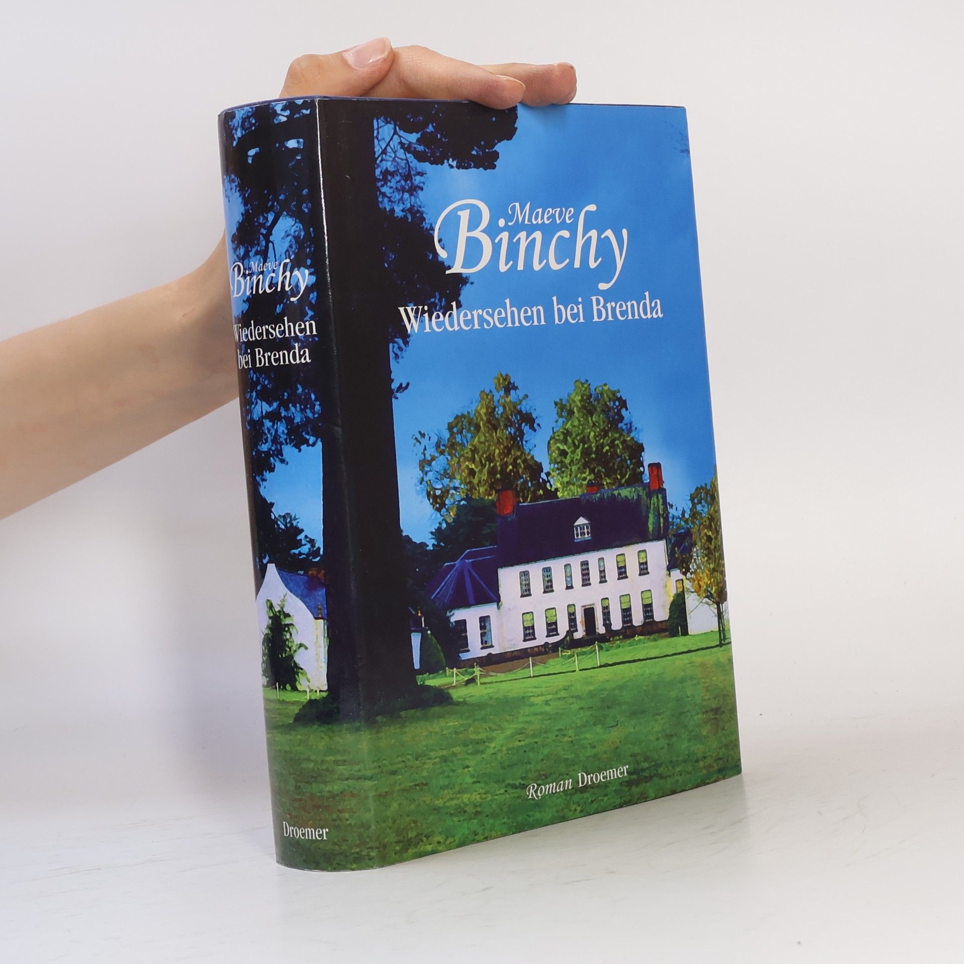 Maeve Binchy Wiedersehen bei Brenda